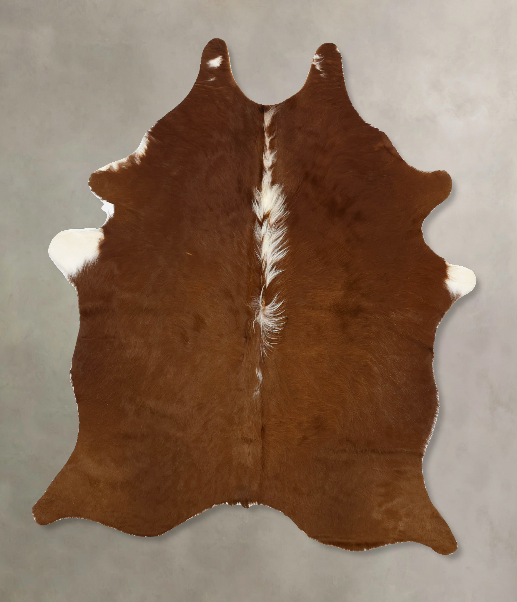 Brown and White Regular Cowhide Rug #B11460