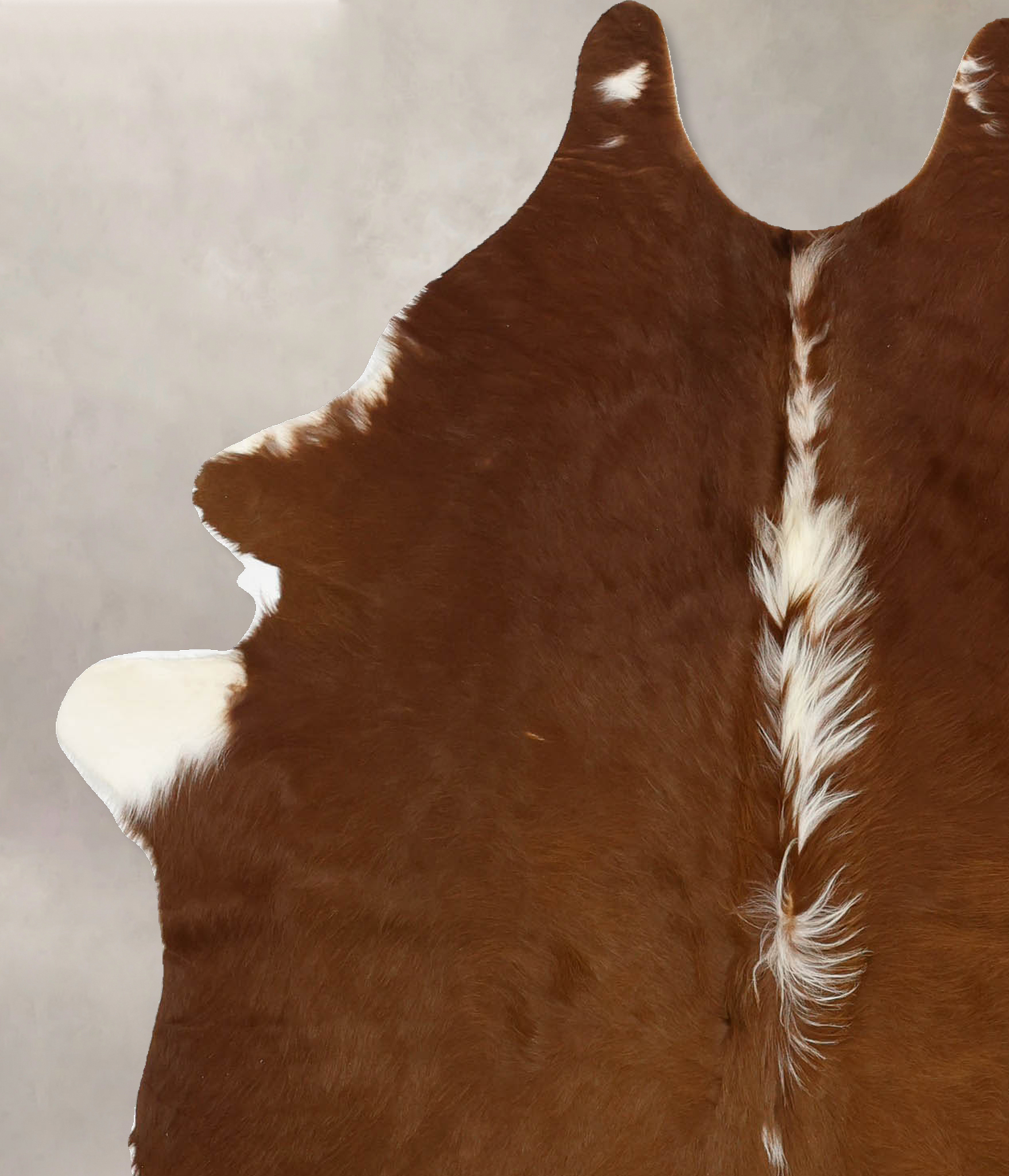 Brown and White Regular Cowhide Rug #B11460