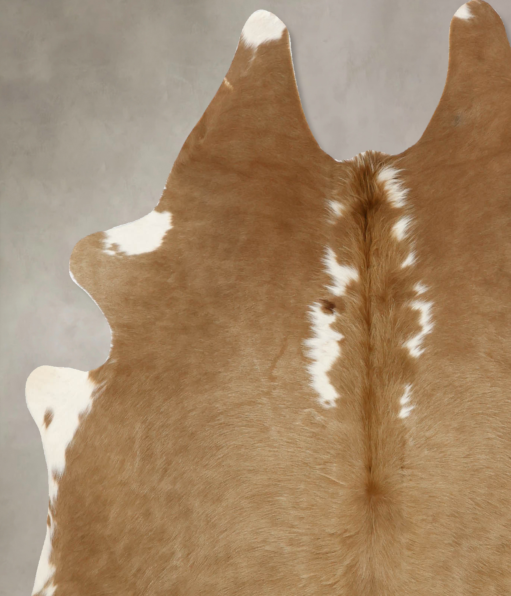 Brown and White Regular Cowhide Rug #B11461