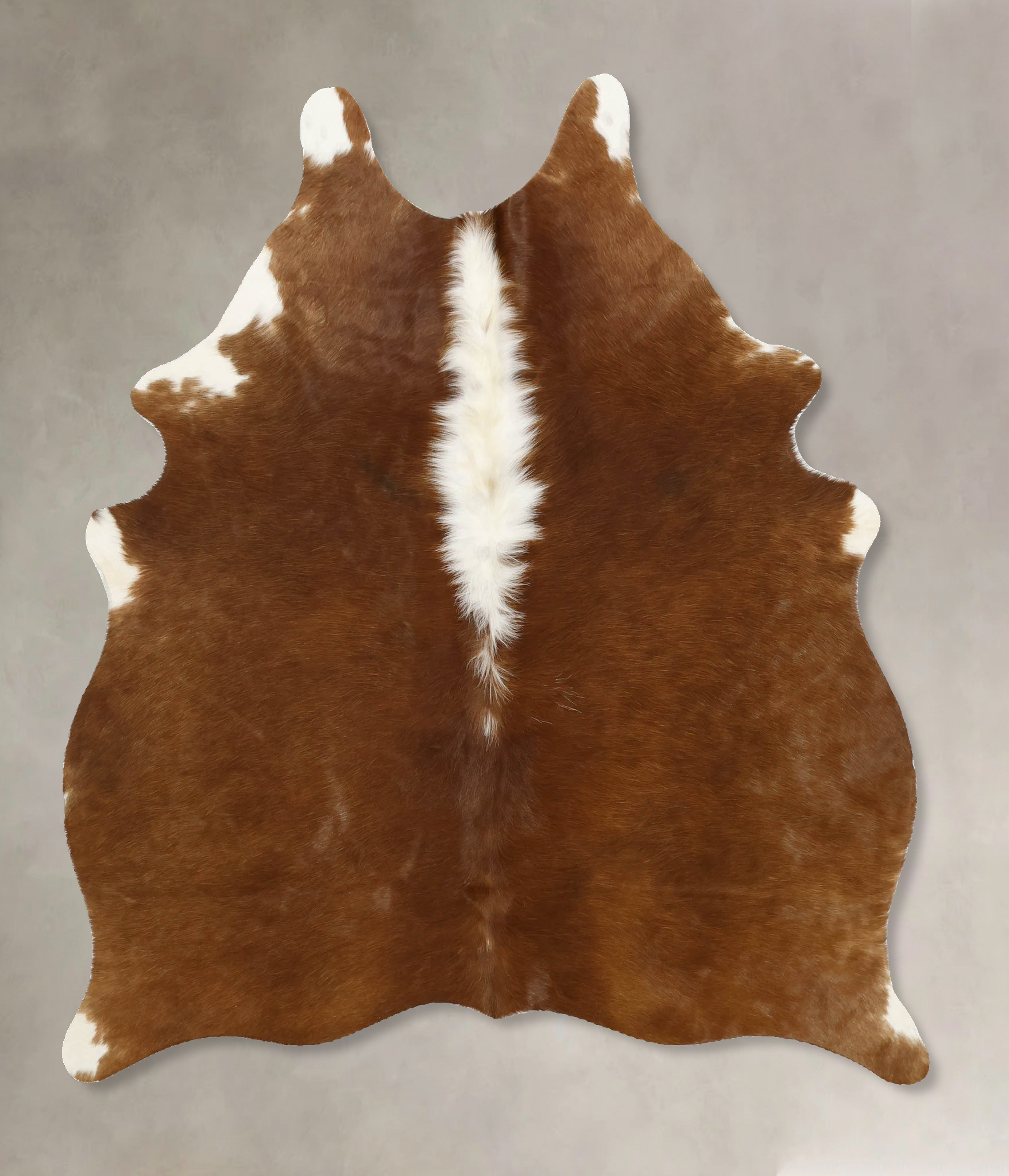 Brown and White Regular Cowhide Rug #B11462