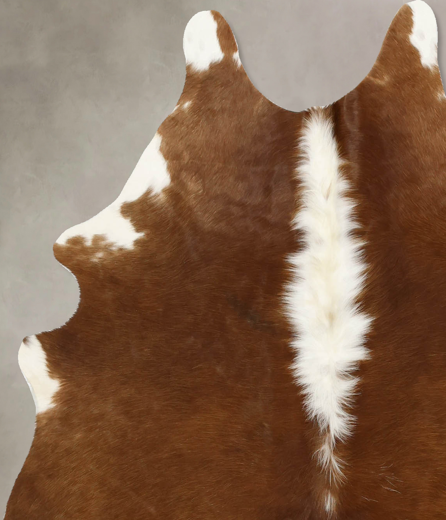 Brown and White Regular Cowhide Rug #B11462