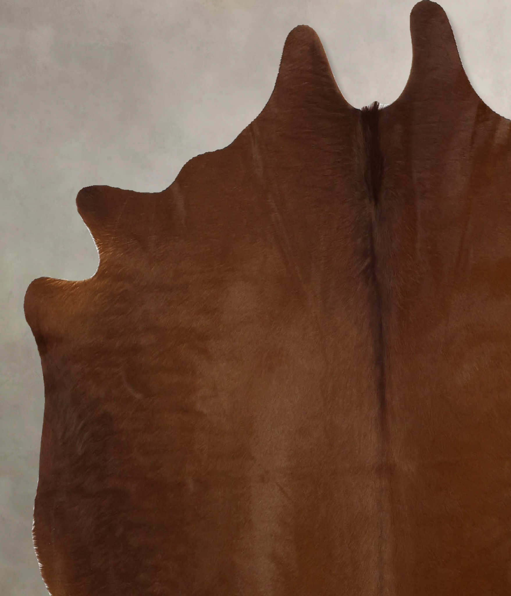 Solid Brown Cowhide Rug #B11482