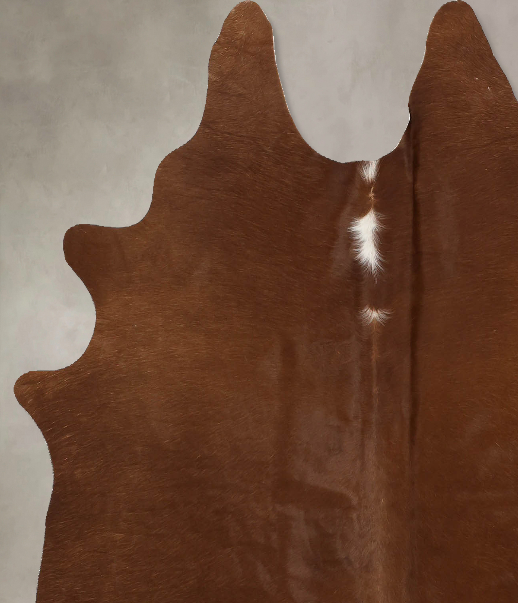 Solid Brown Cowhide Rug #B11499