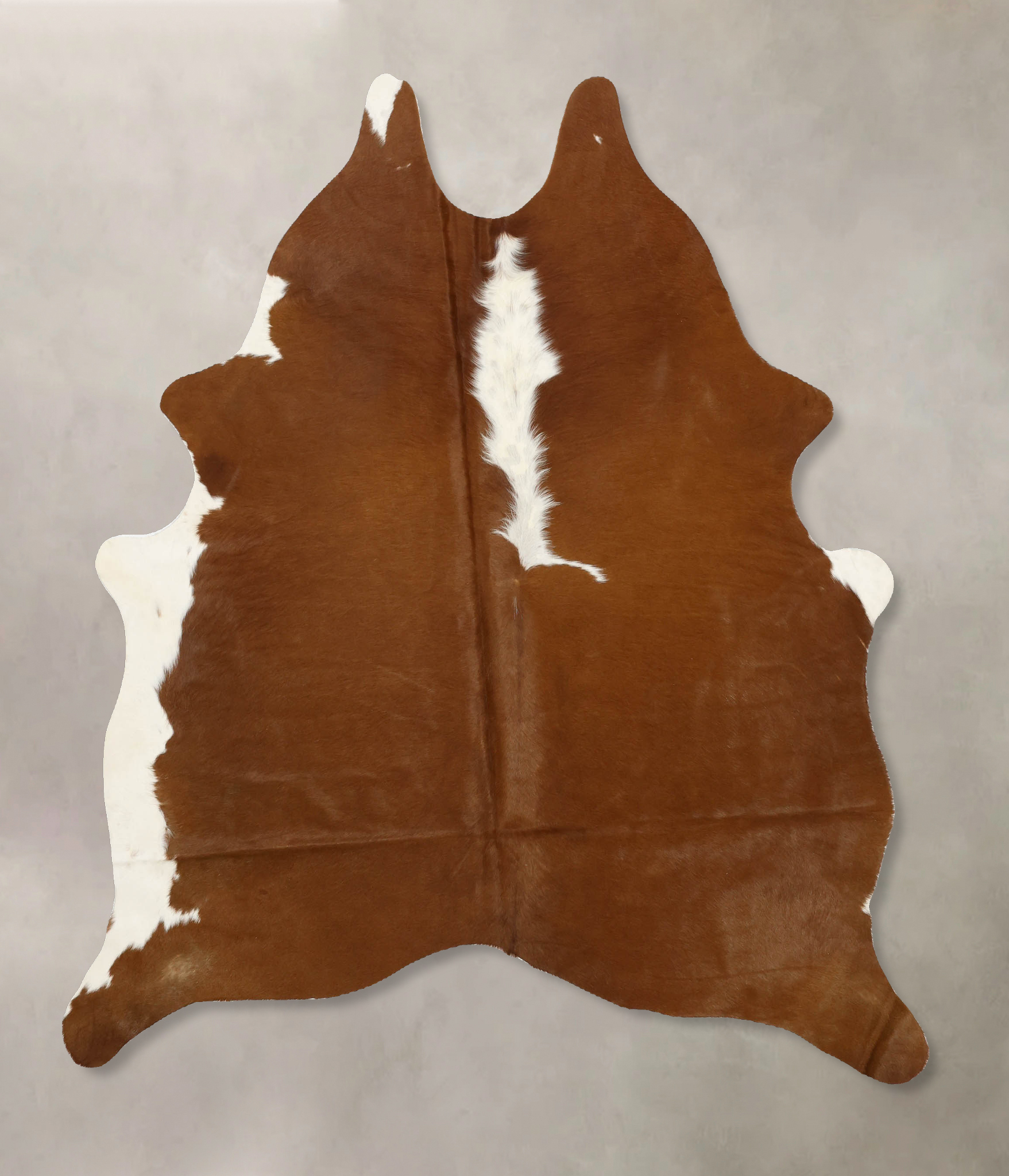 Brown and White Regular Cowhide Rug #B11505