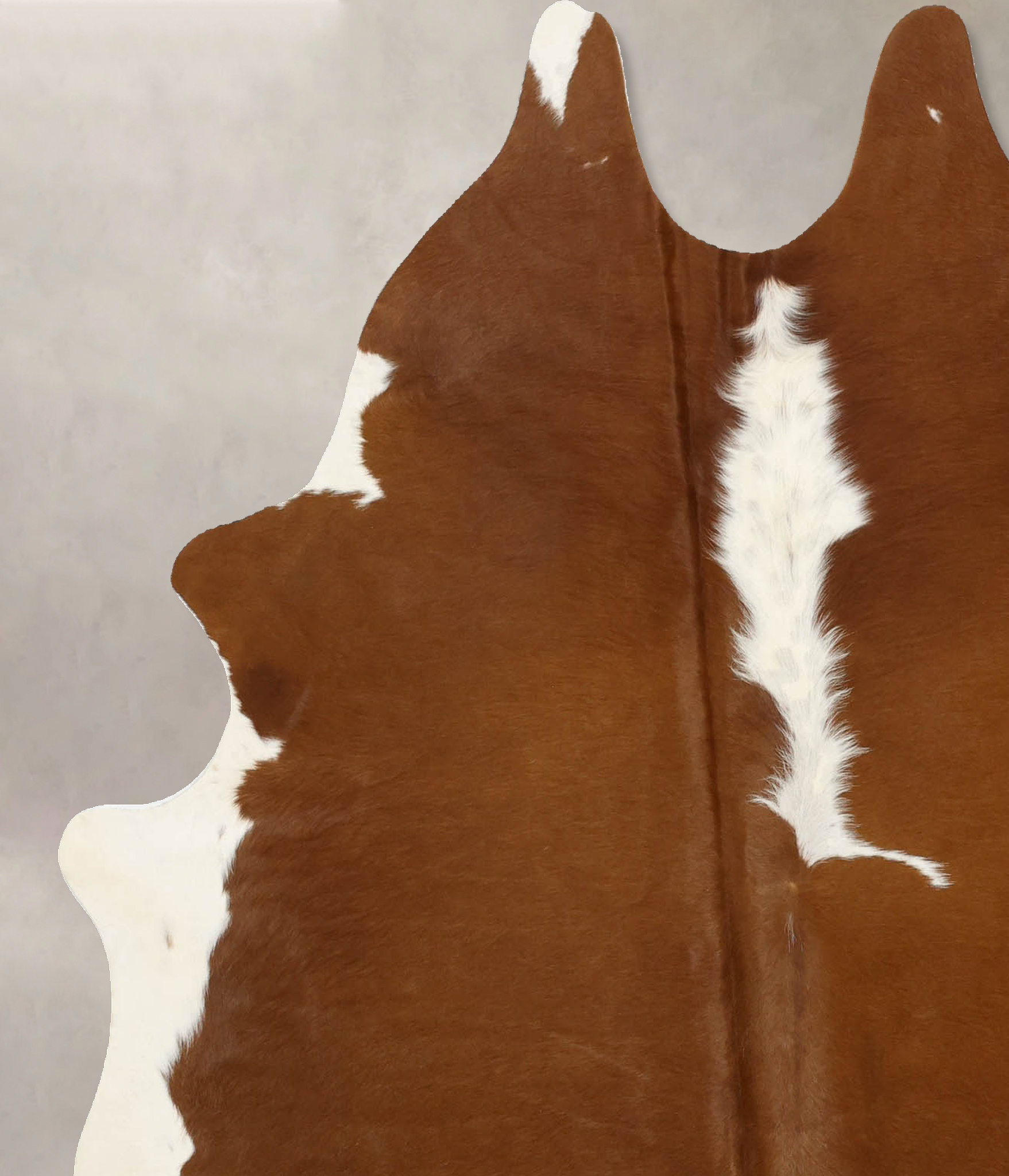 Brown and White Regular Cowhide Rug #B11505