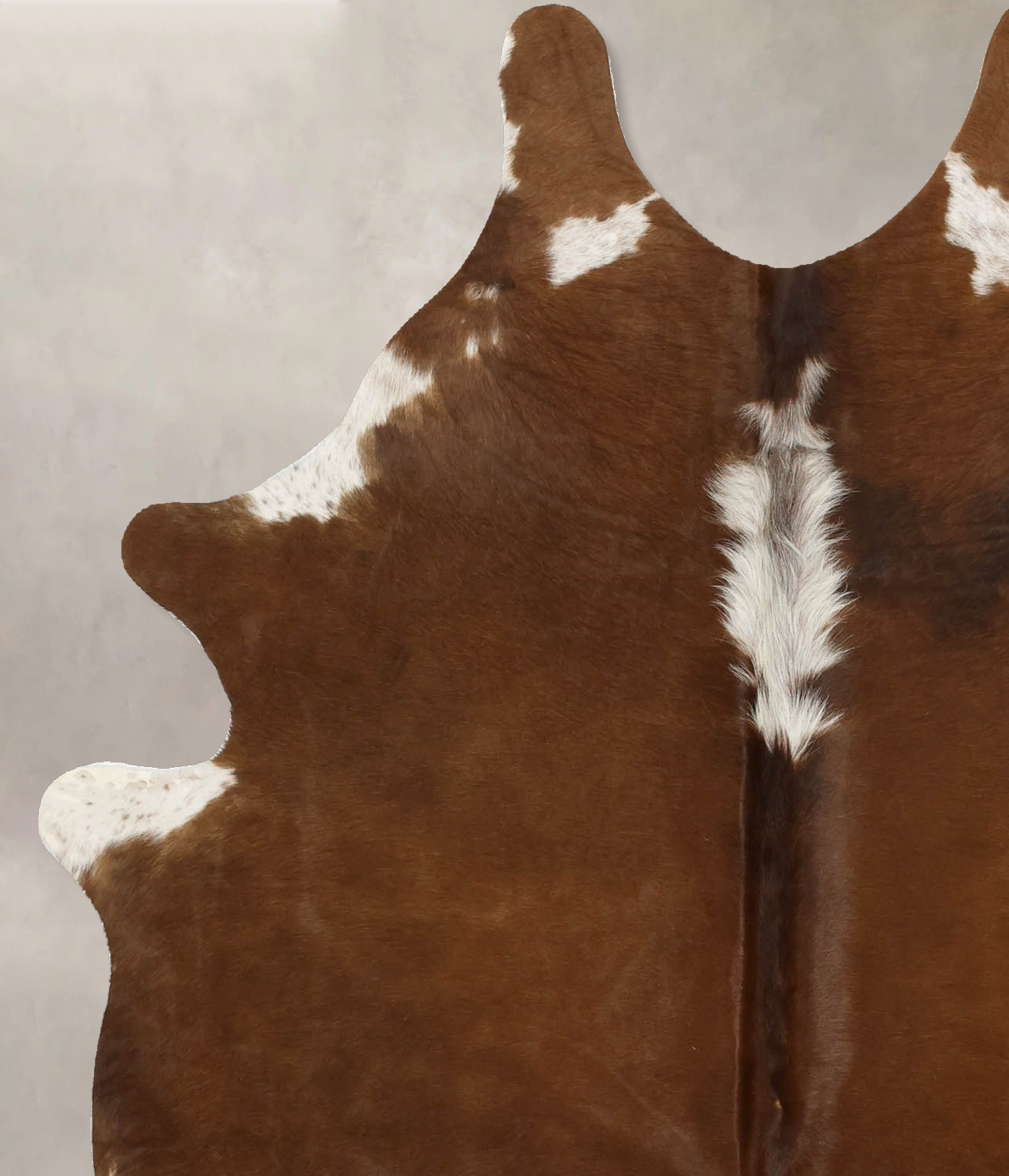 Brown and White Regular Cowhide Rug #B11506