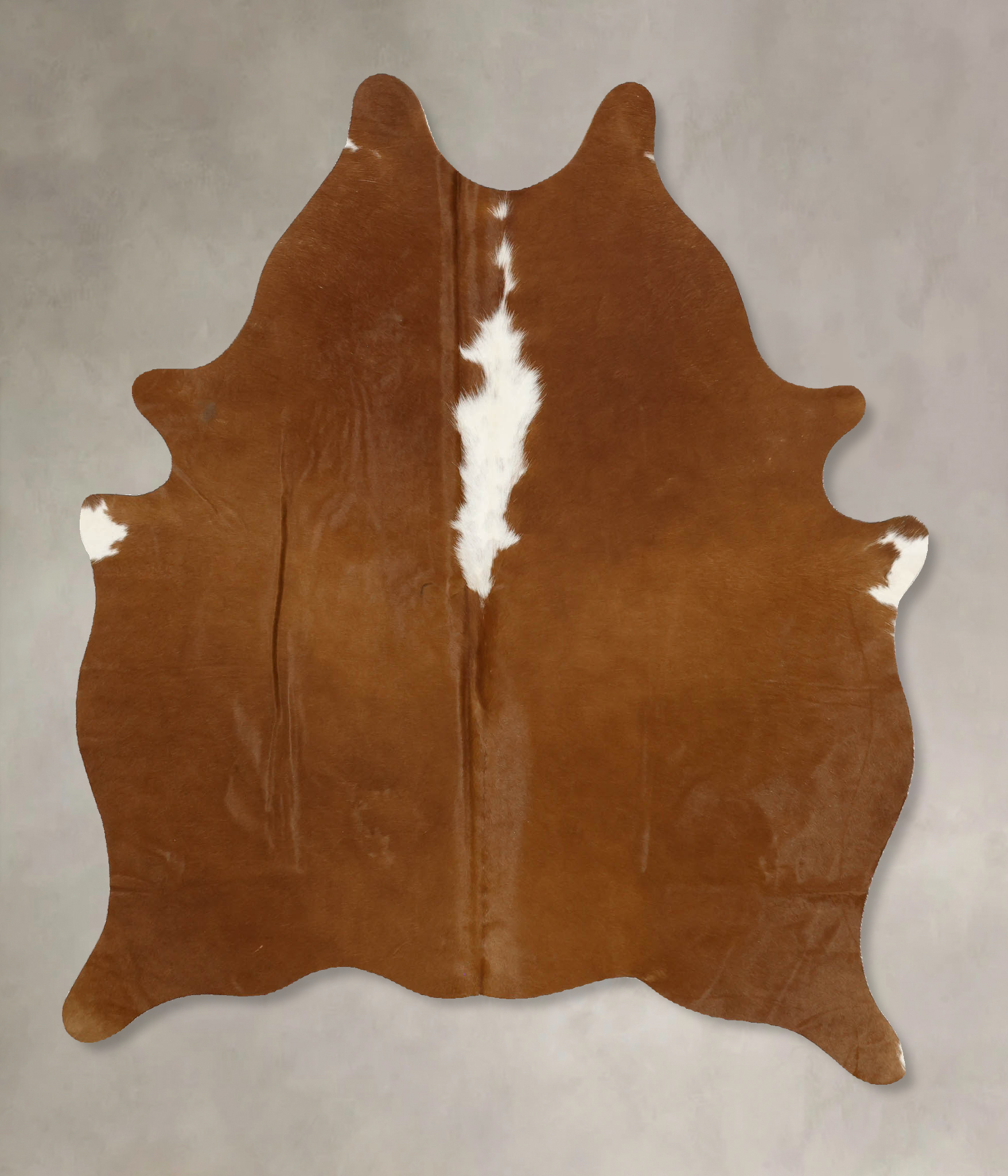 Brown and White Regular Cowhide Rug #B11511