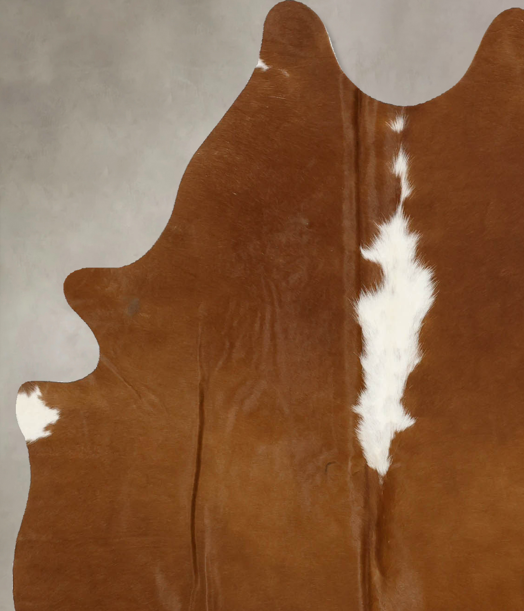 Brown and White Regular Cowhide Rug #B11511