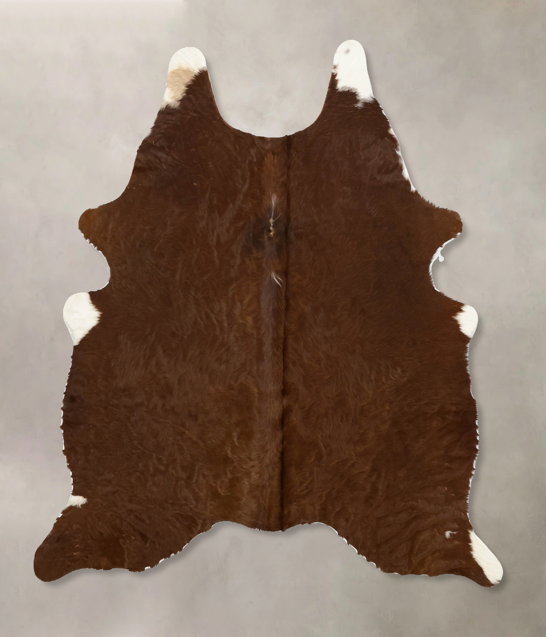 Brown and White Regular Cowhide Rug #B11512