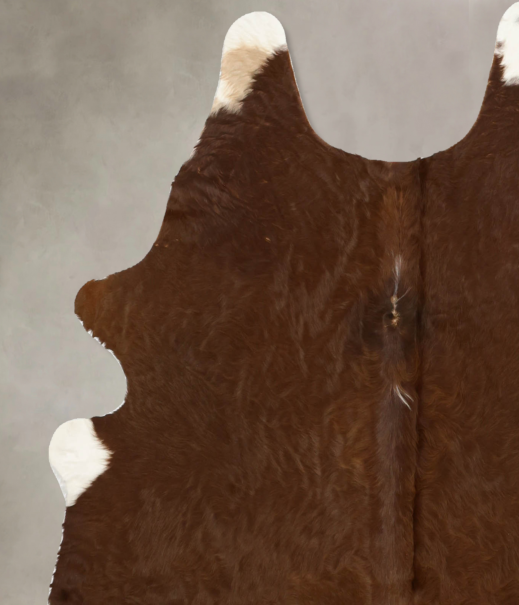 Brown and White Regular Cowhide Rug #B11512