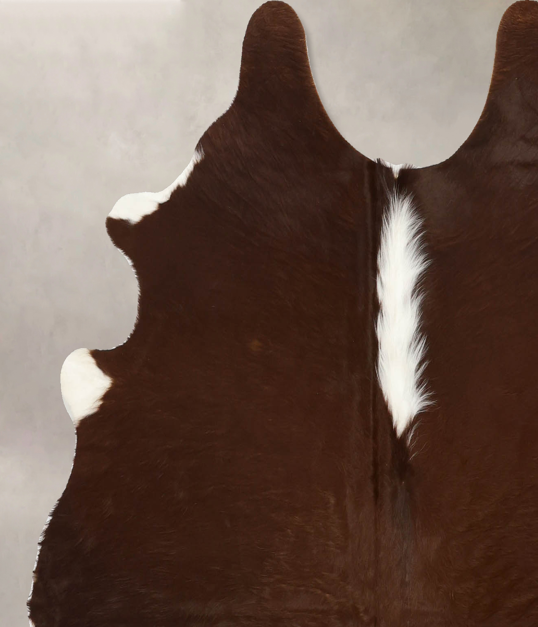 Brown and White Regular Cowhide Rug #B11513