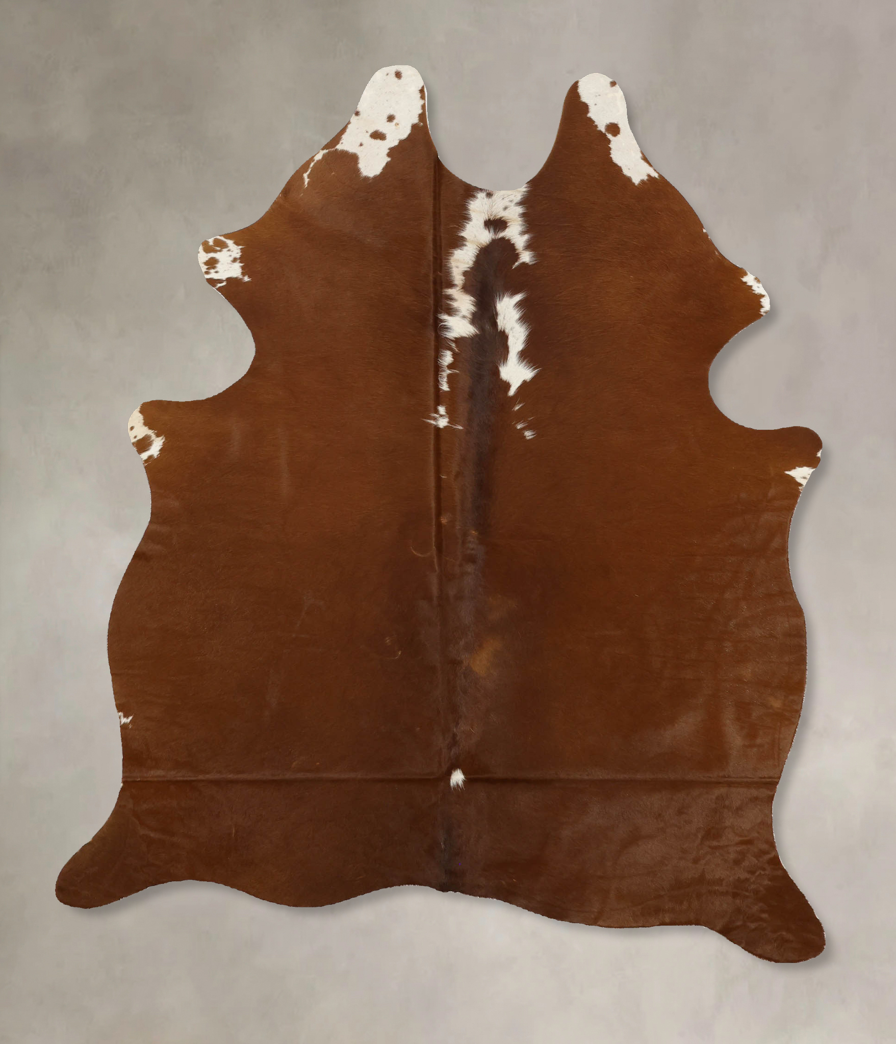 Brown and White Regular Cowhide Rug #B11515