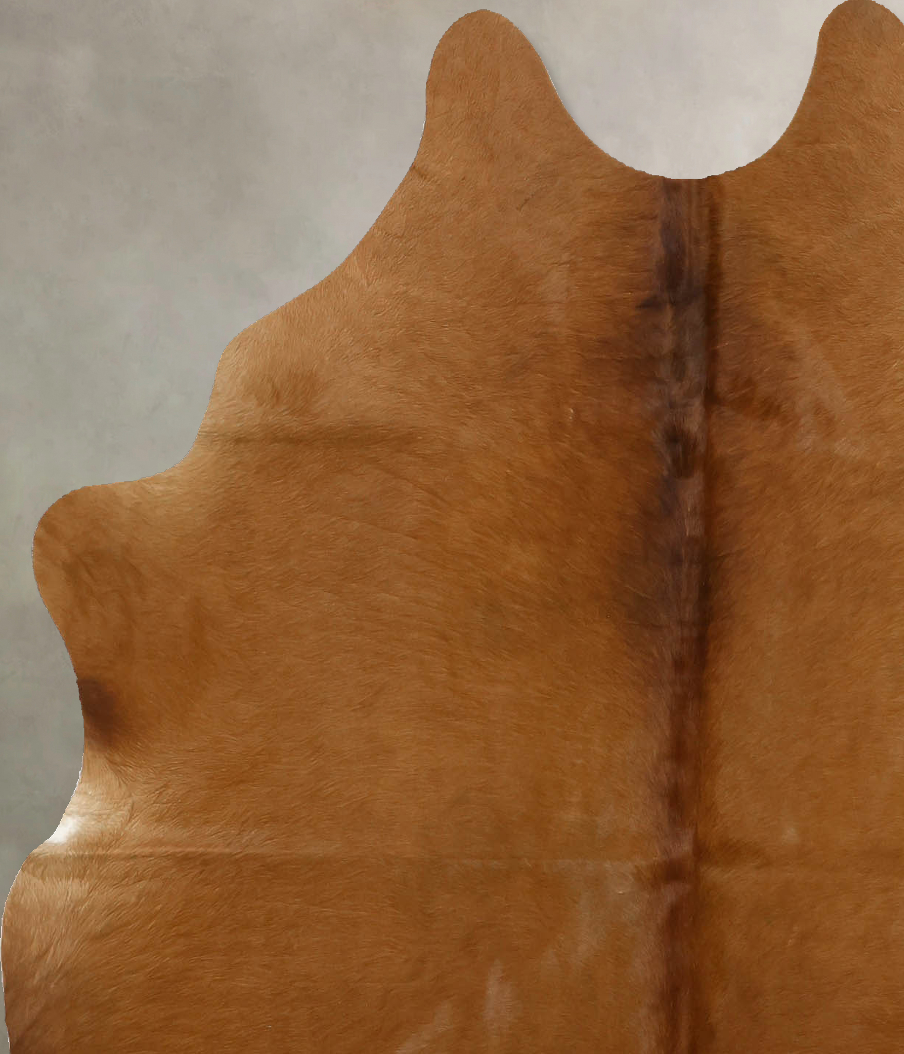 Solid Brown Cowhide Rug #B11516