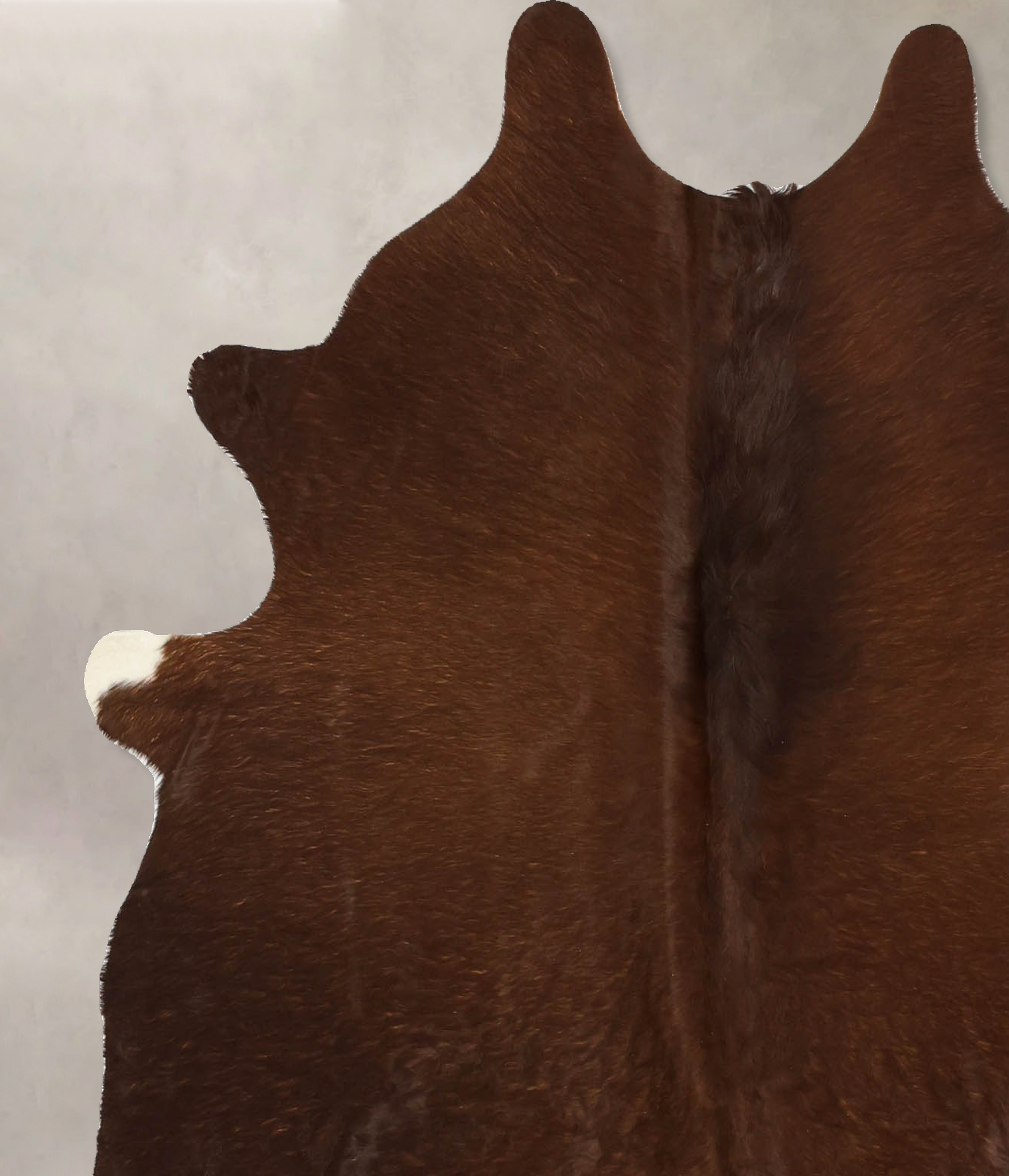 Solid Brown Cowhide Rug #B11520