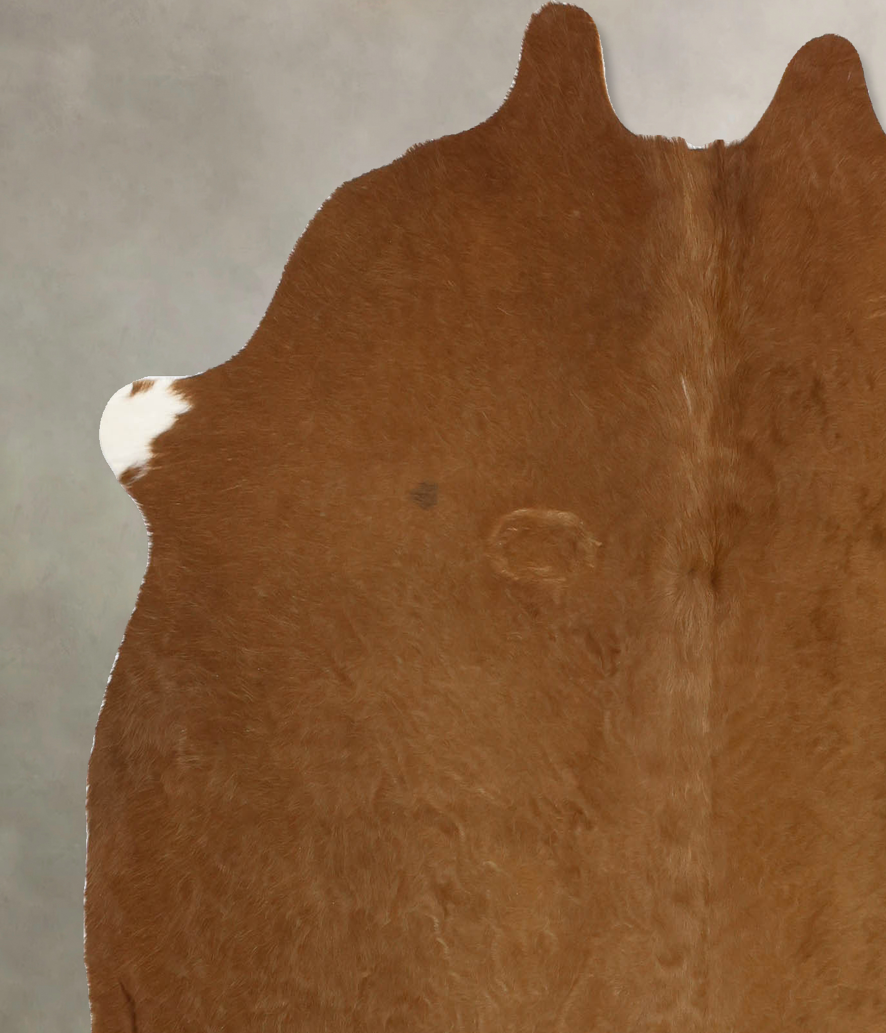 Solid Brown Cowhide Rug #B11521