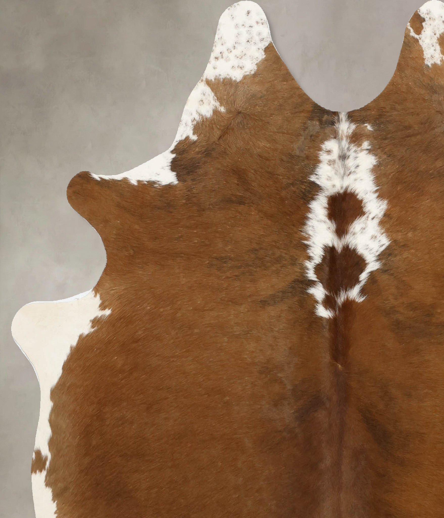 Brown and White Regular Cowhide Rug #B11526