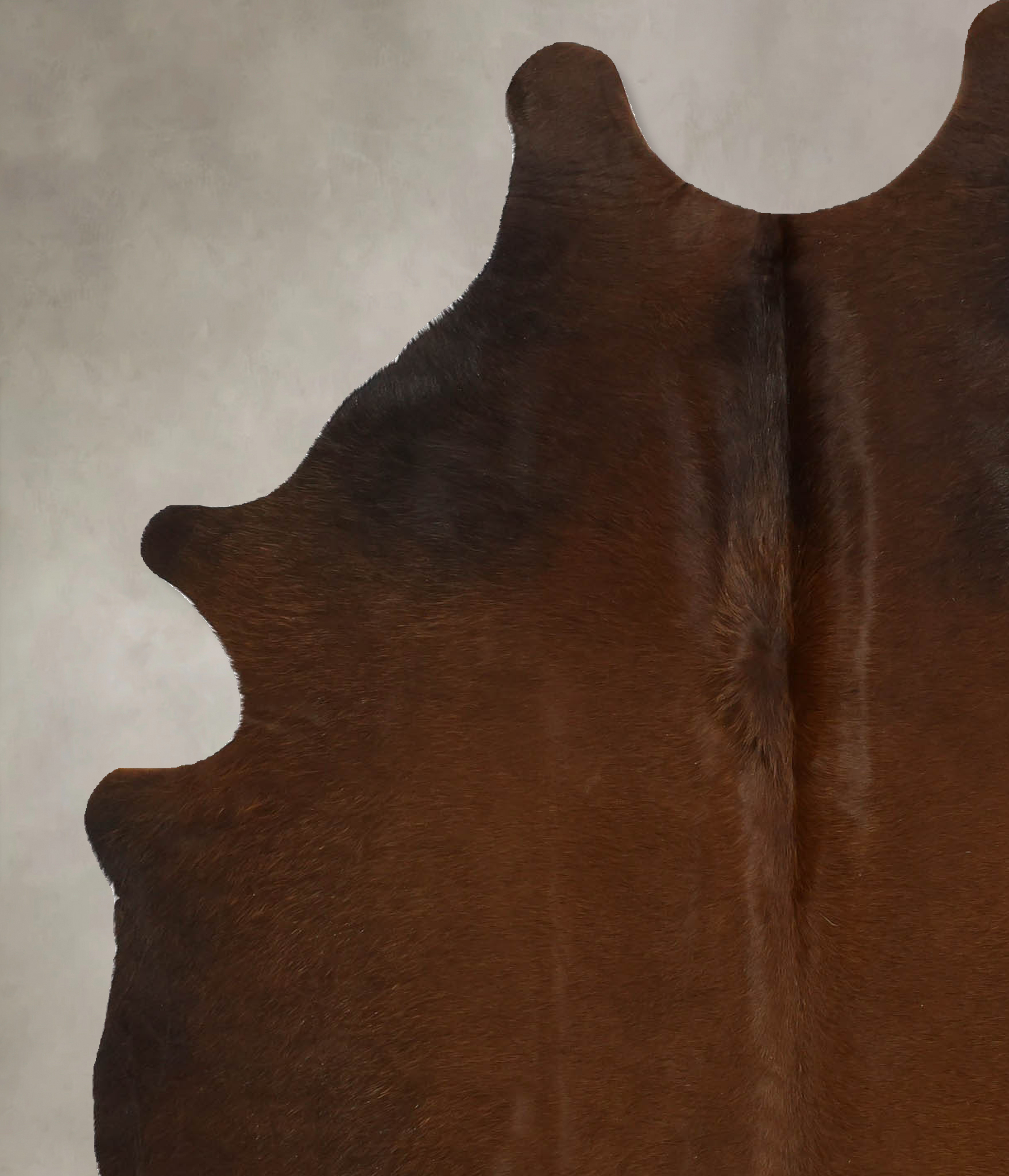 Warm Caramel Cowhide Rug #B11530