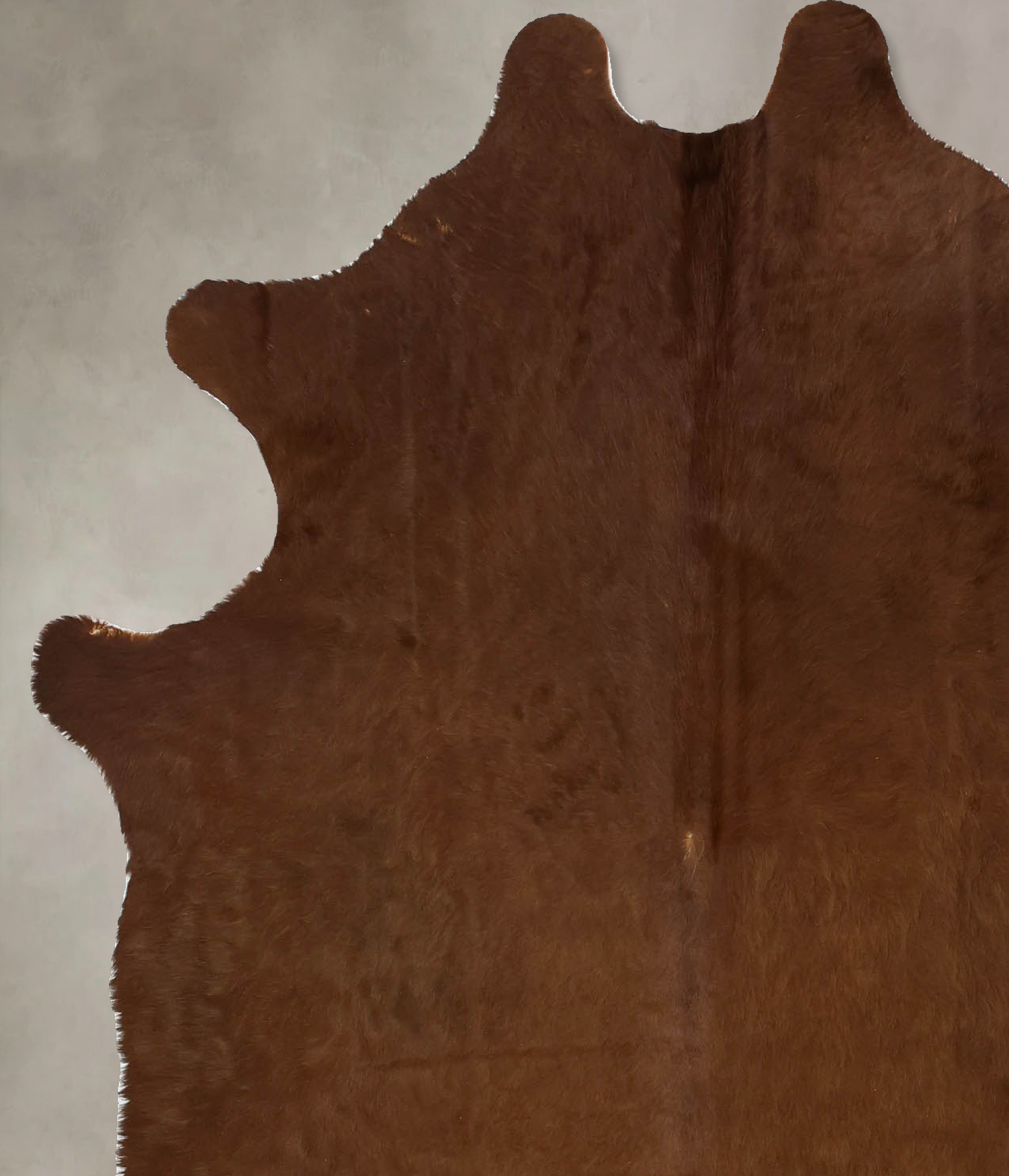 Solid Brown Cowhide Rug #B11537