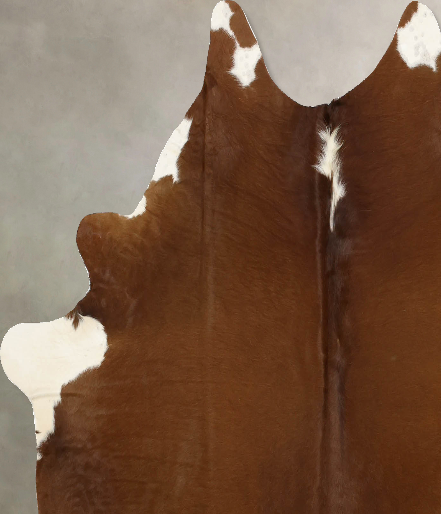 Brown and White Regular Cowhide Rug #B11546