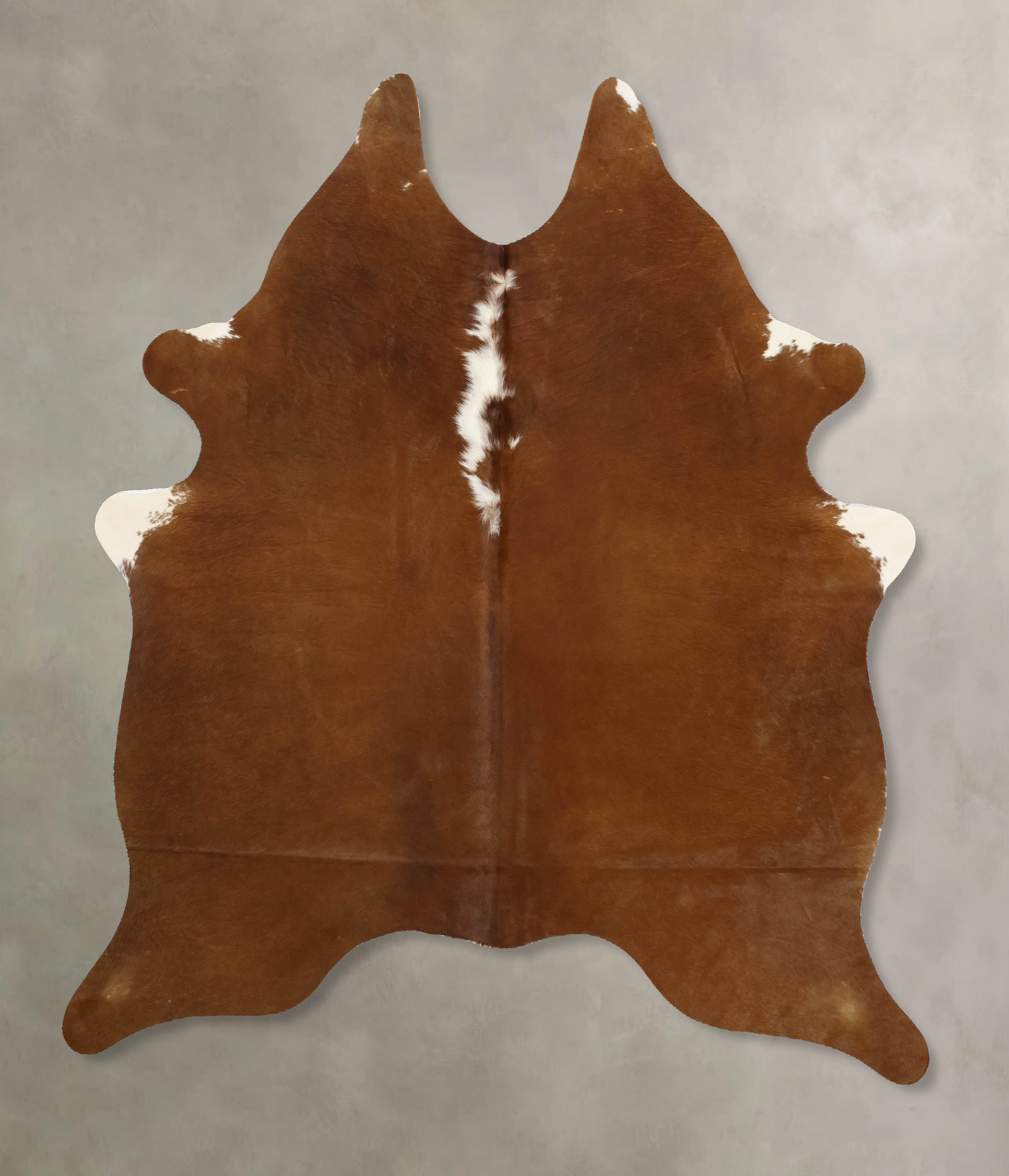 Brown and White Regular Cowhide Rug #B11547