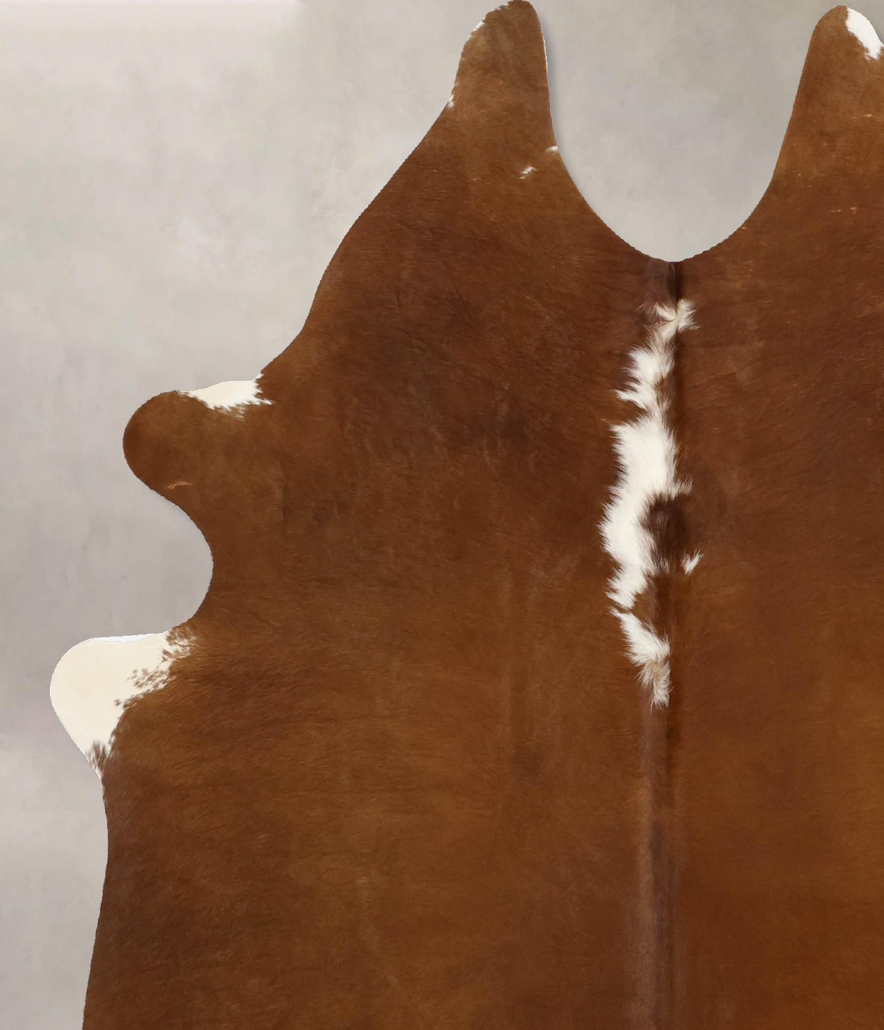 Brown and White Regular Cowhide Rug #B11547