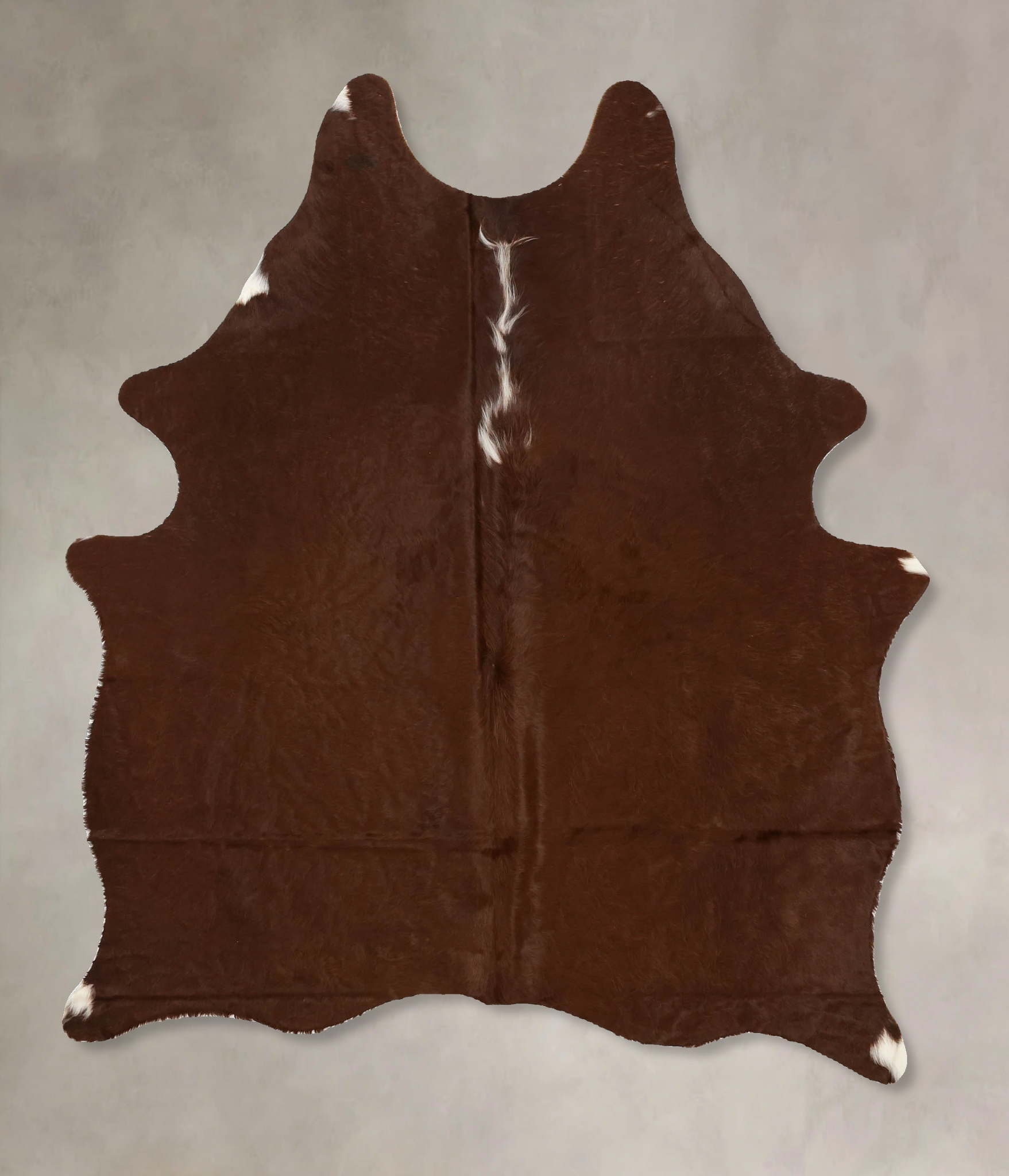 Brown and White Regular Cowhide Rug #B11548