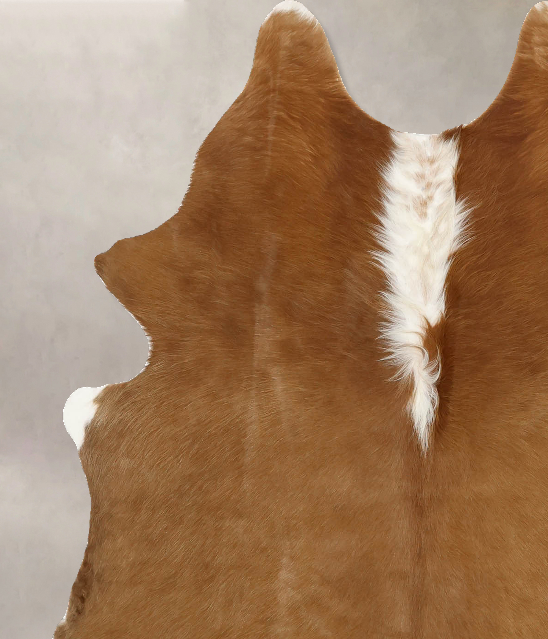 Brown and White Regular Cowhide Rug #B11553