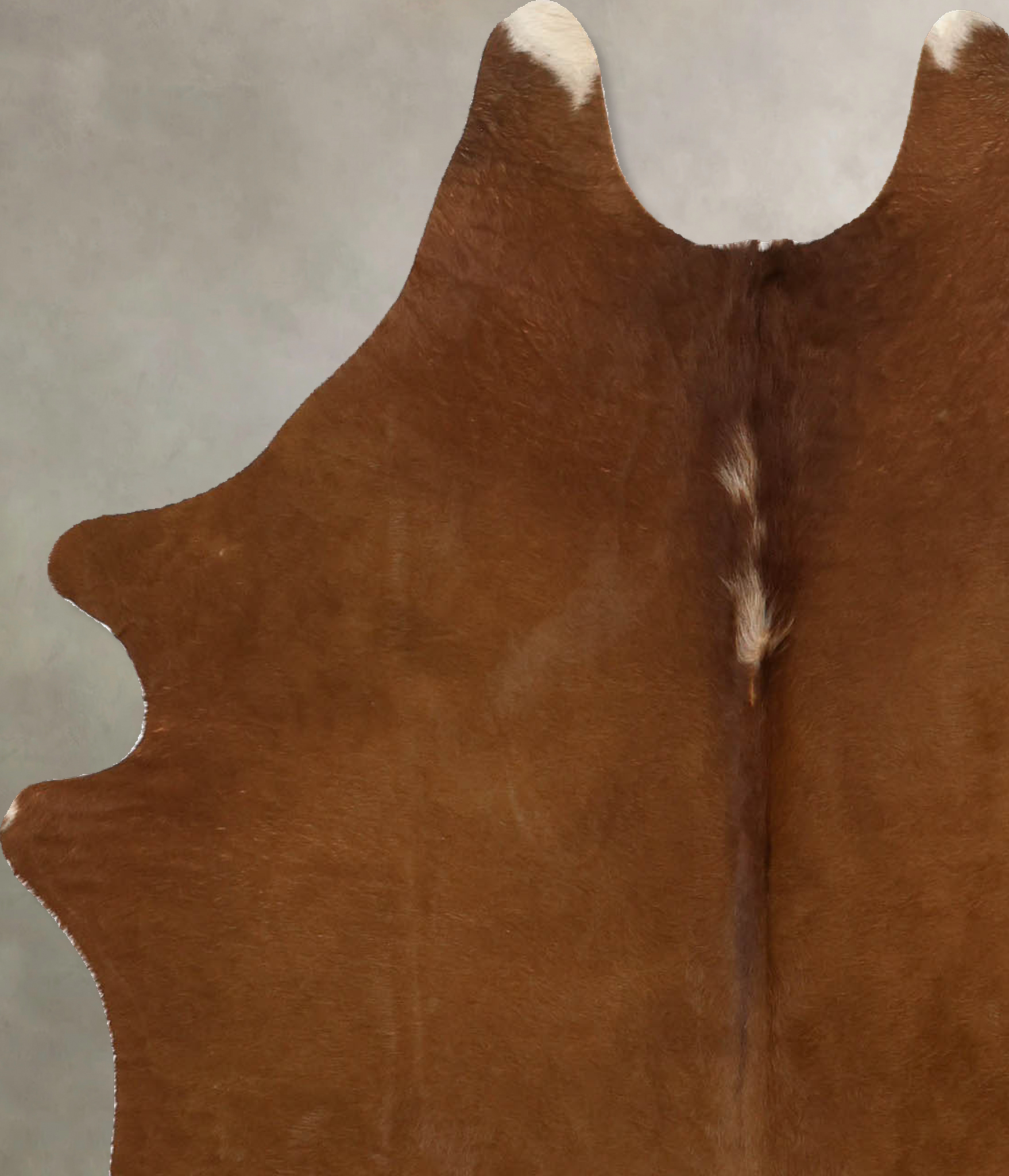 Solid Brown Cowhide Rug #B11554