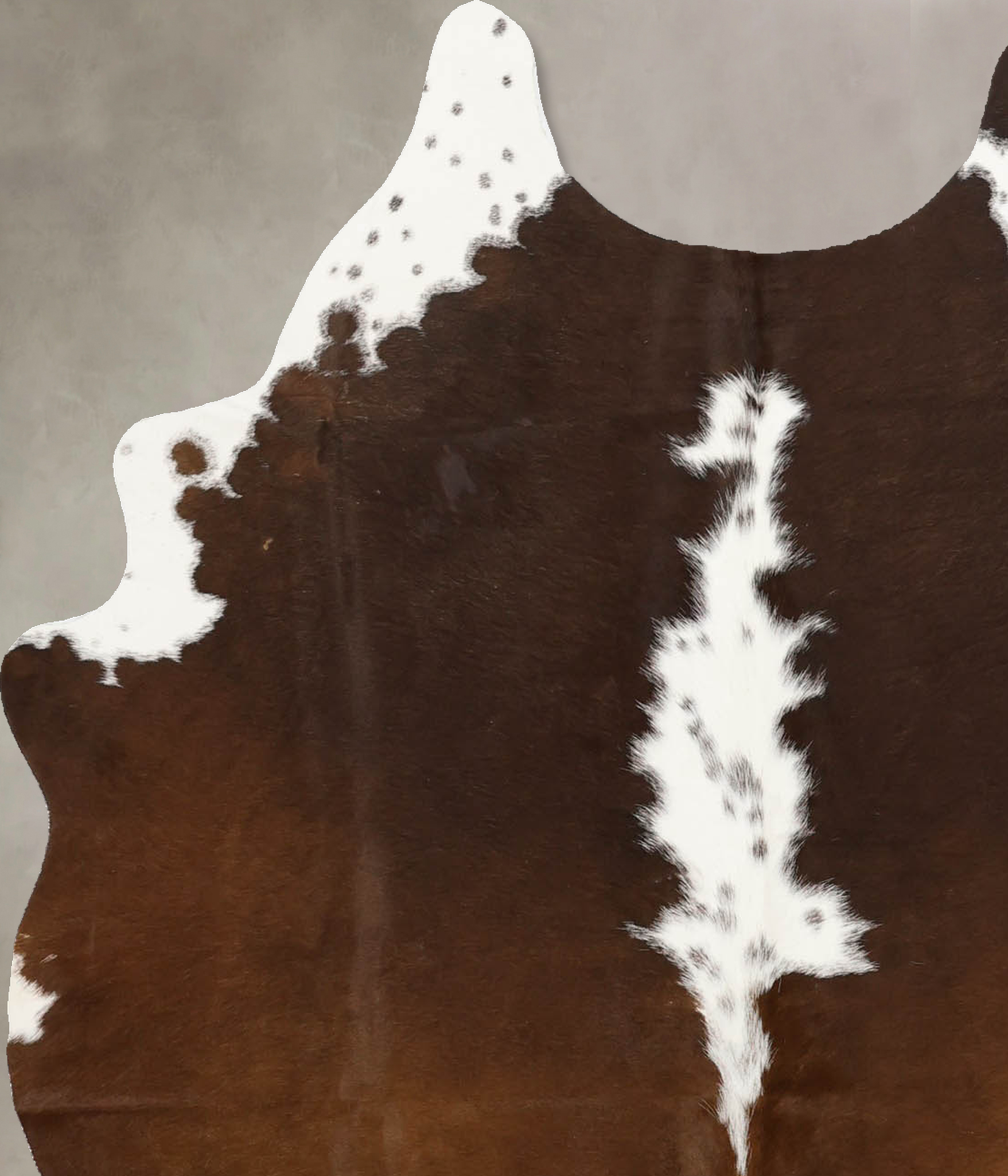 Brown and White Regular Cowhide Rug #B11559