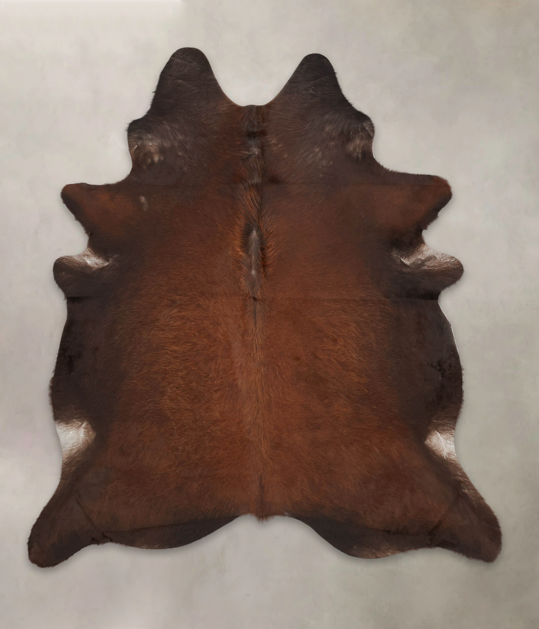 Brown with Red Cowhide Rug #B1156