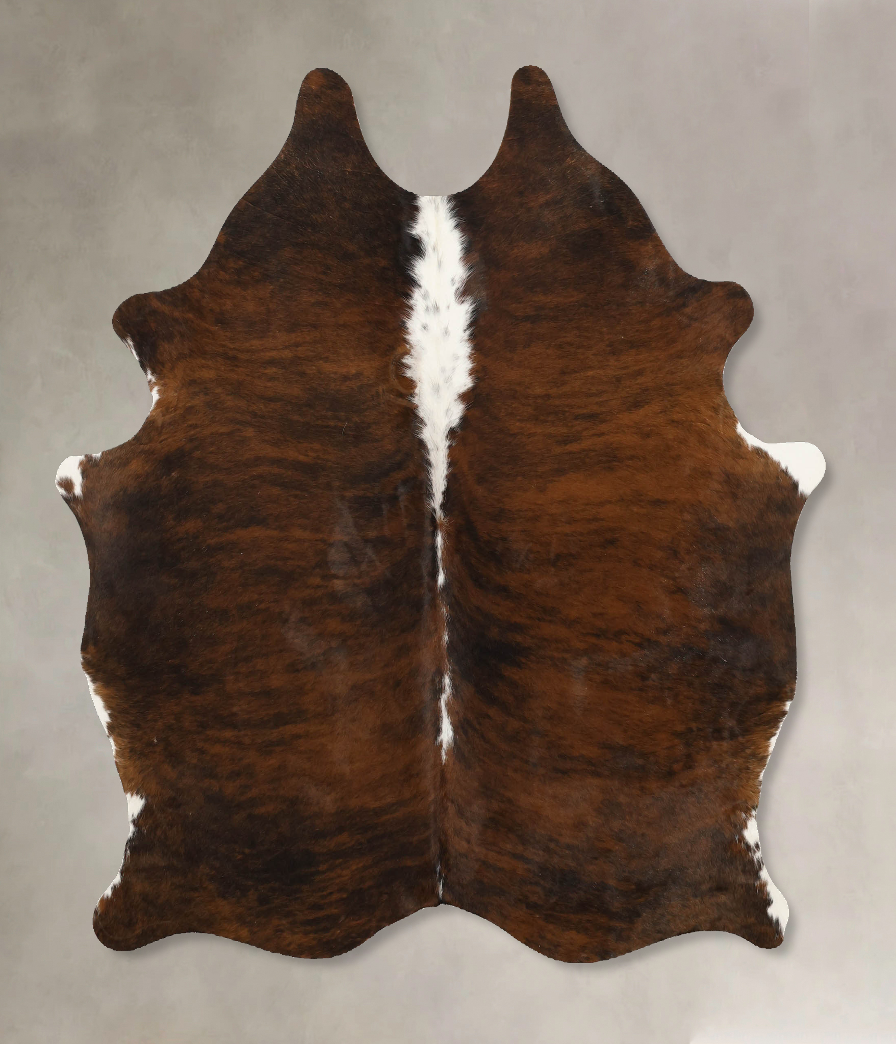 Tricolor Cowhide Rug #B11568