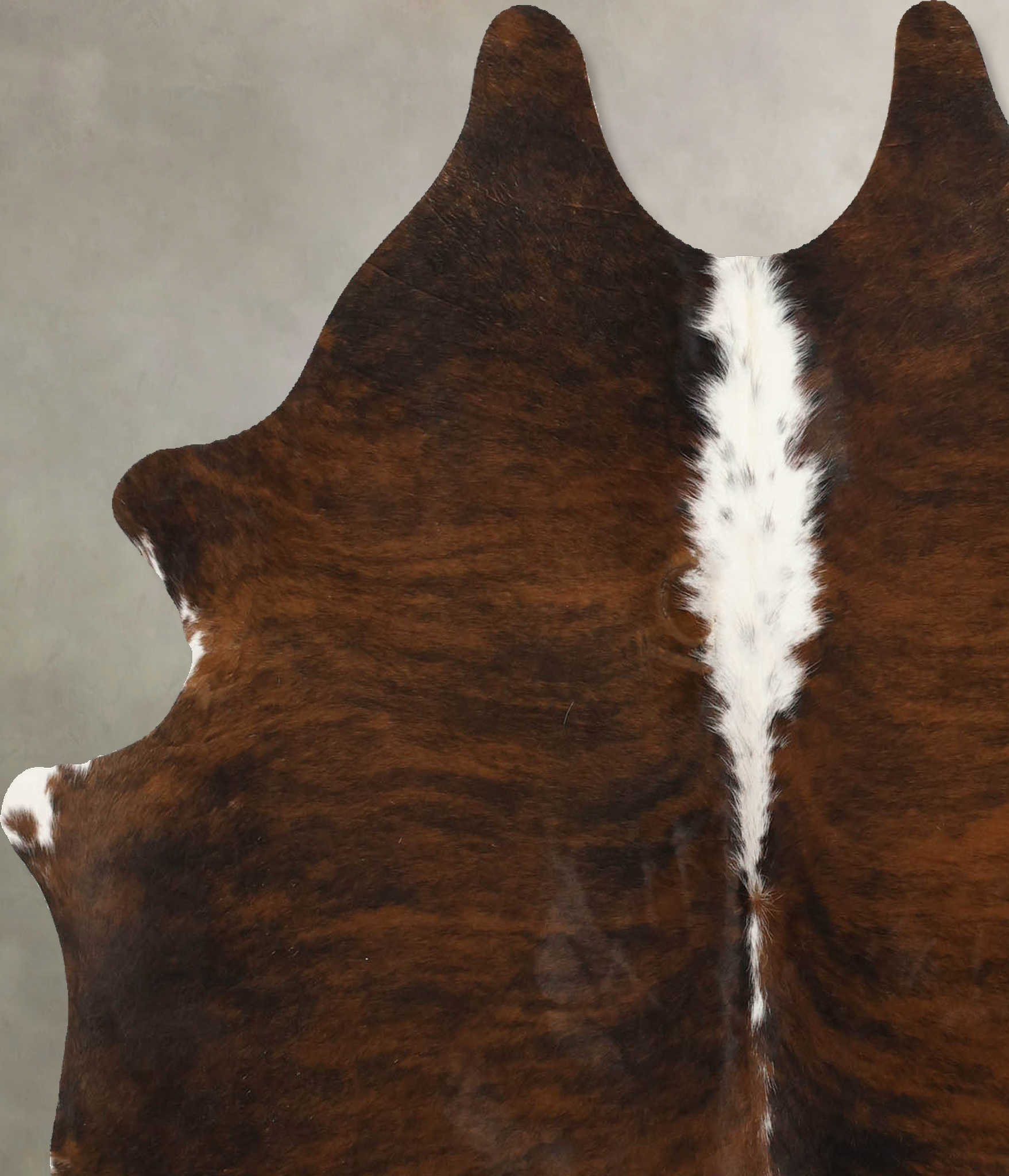 Tricolor Cowhide Rug #B11568