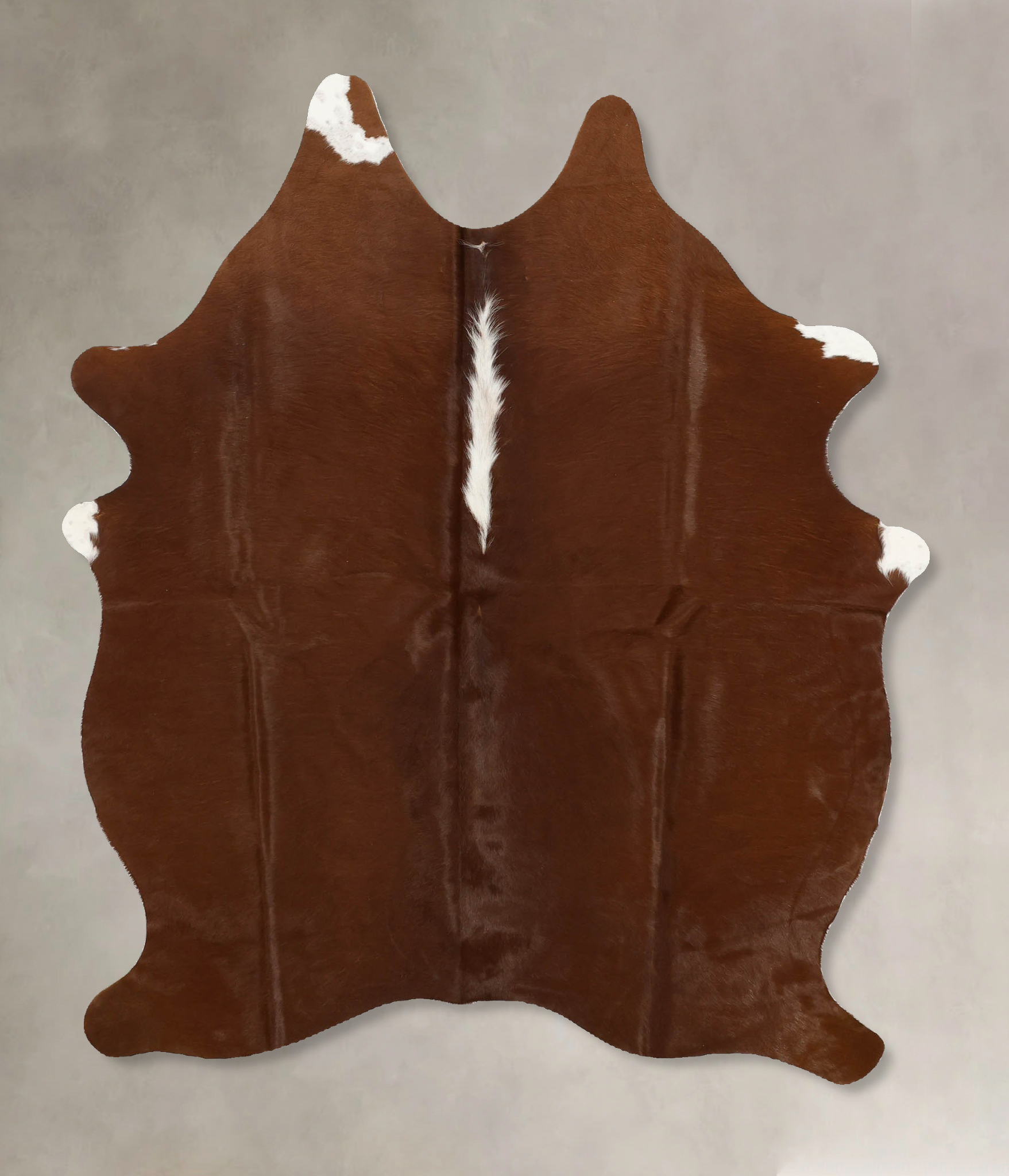 Brown and White Regular Cowhide Rug #B11574