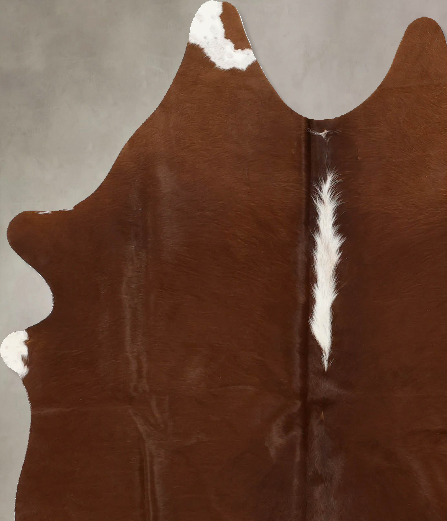 Brown and White Regular Cowhide Rug #B11574