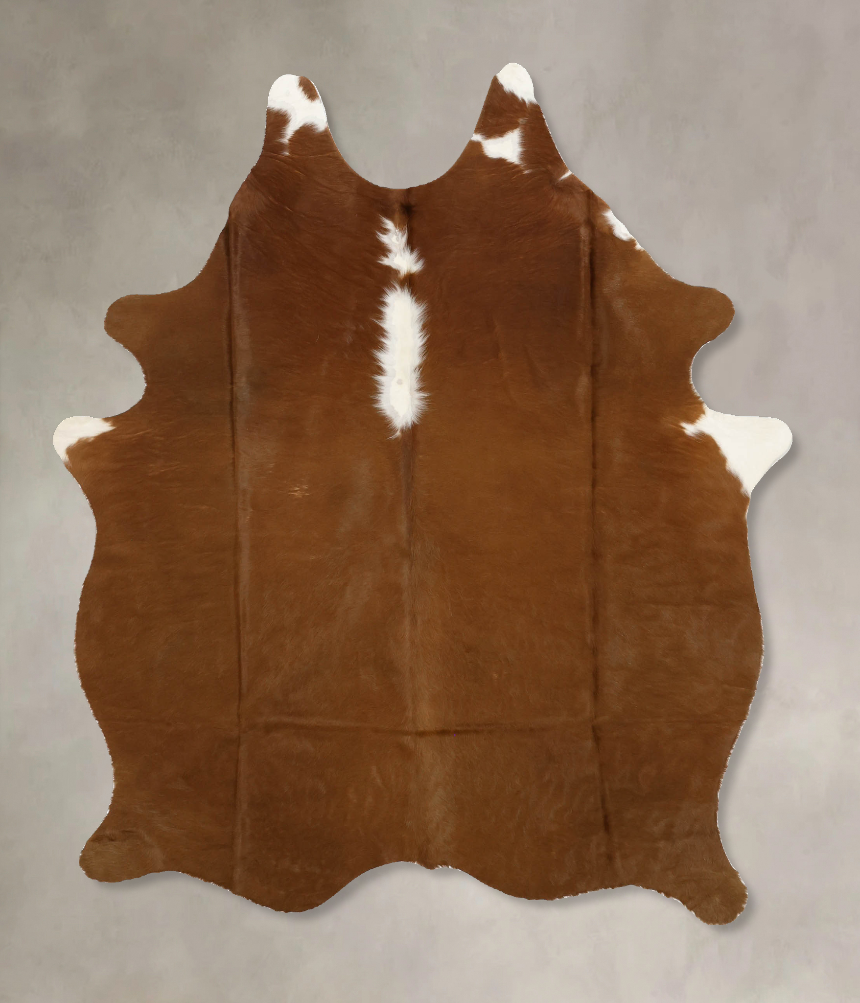 Brown and White Regular Cowhide Rug #B11578