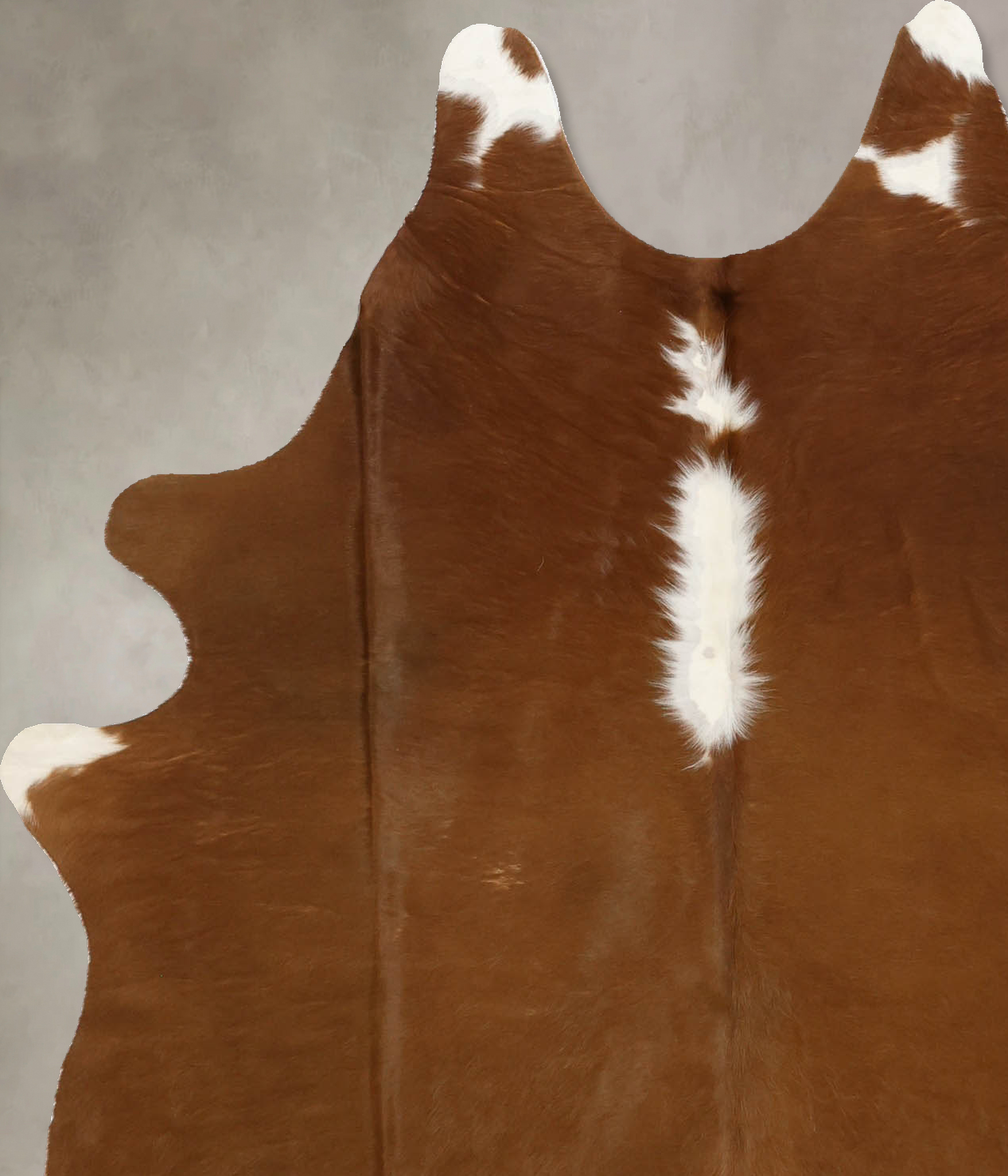 Brown and White Regular Cowhide Rug #B11578