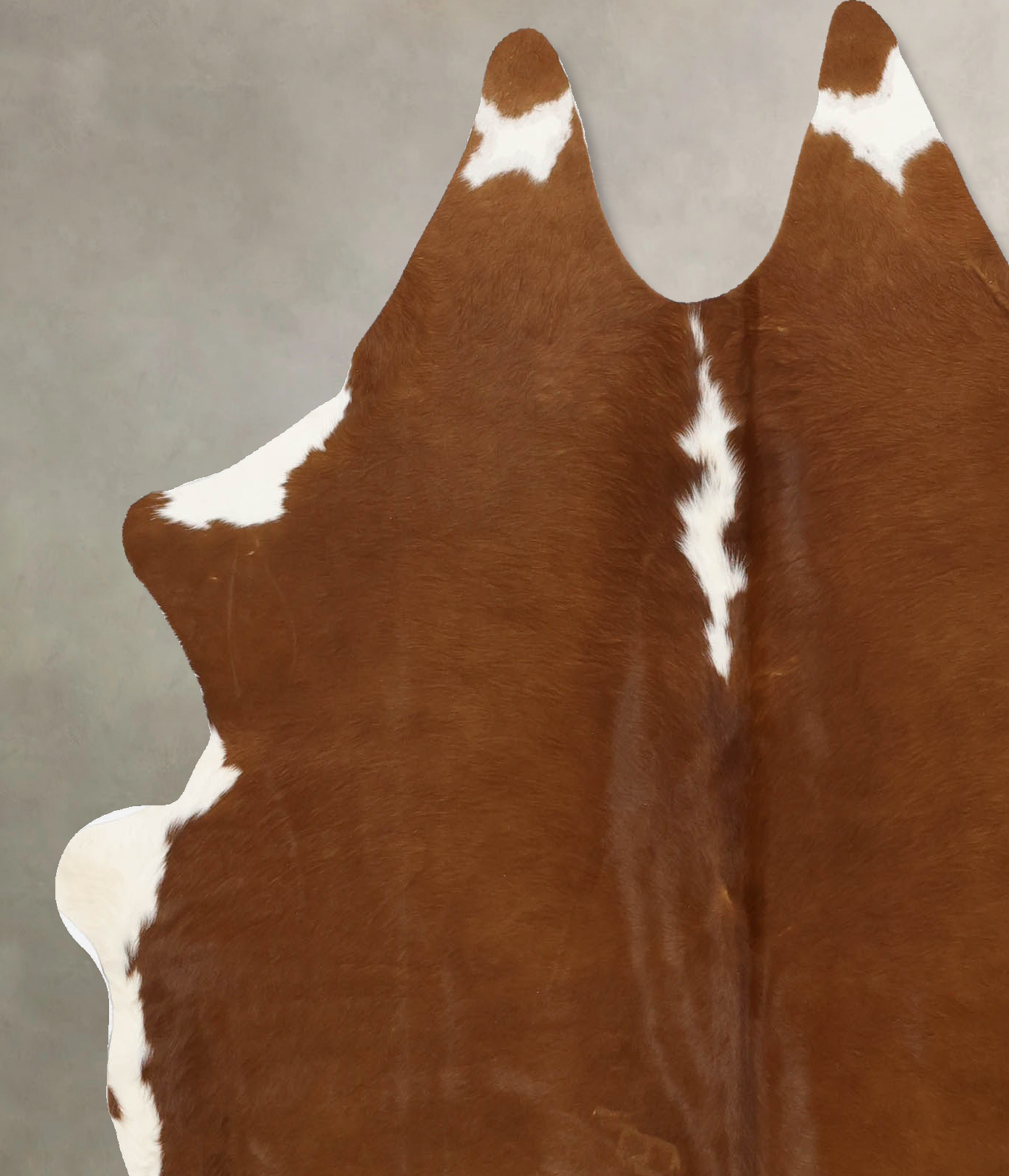 Brown and White Regular Cowhide Rug #B11579