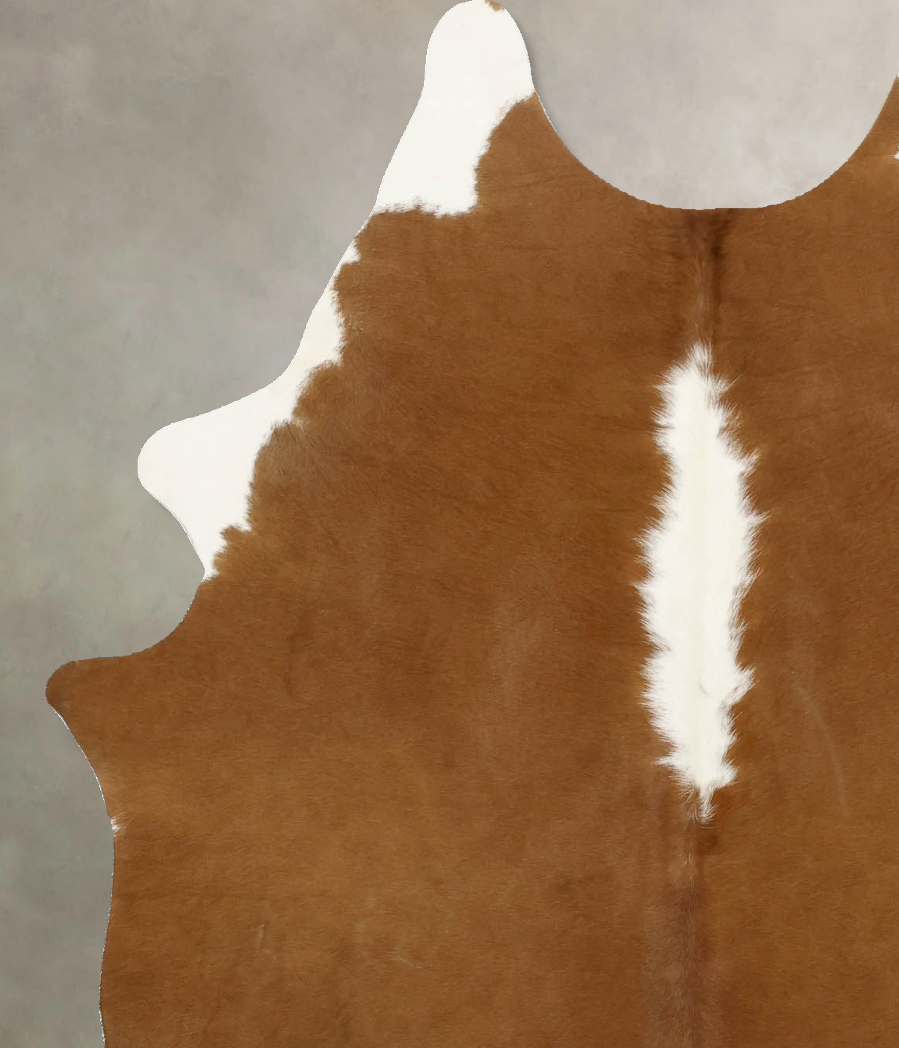 Brown and White Regular Cowhide Rug #B11583