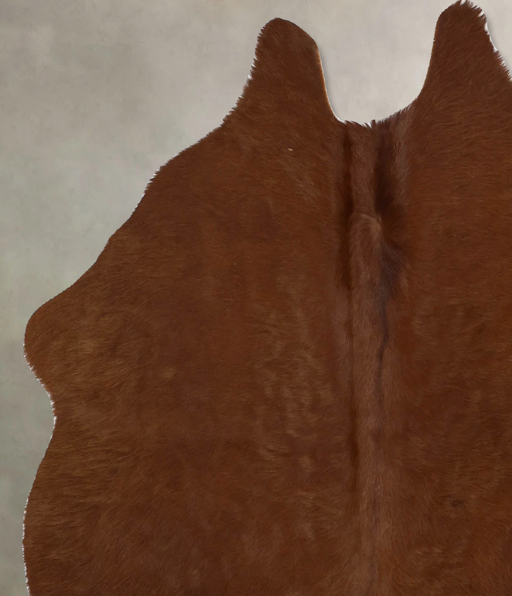 Solid Brown Cowhide Rug #B11592