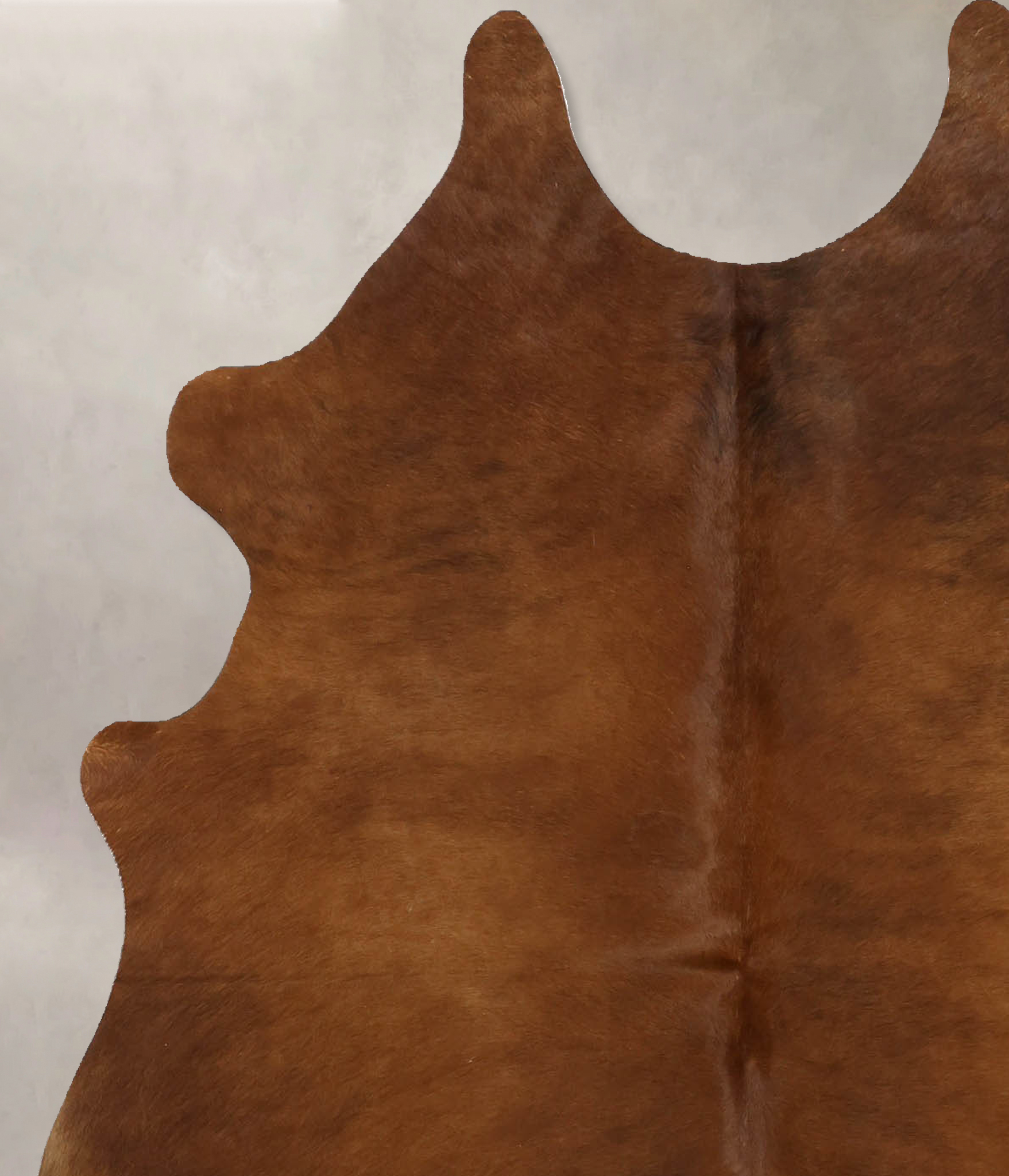 Solid Brown Cowhide Rug #B11621