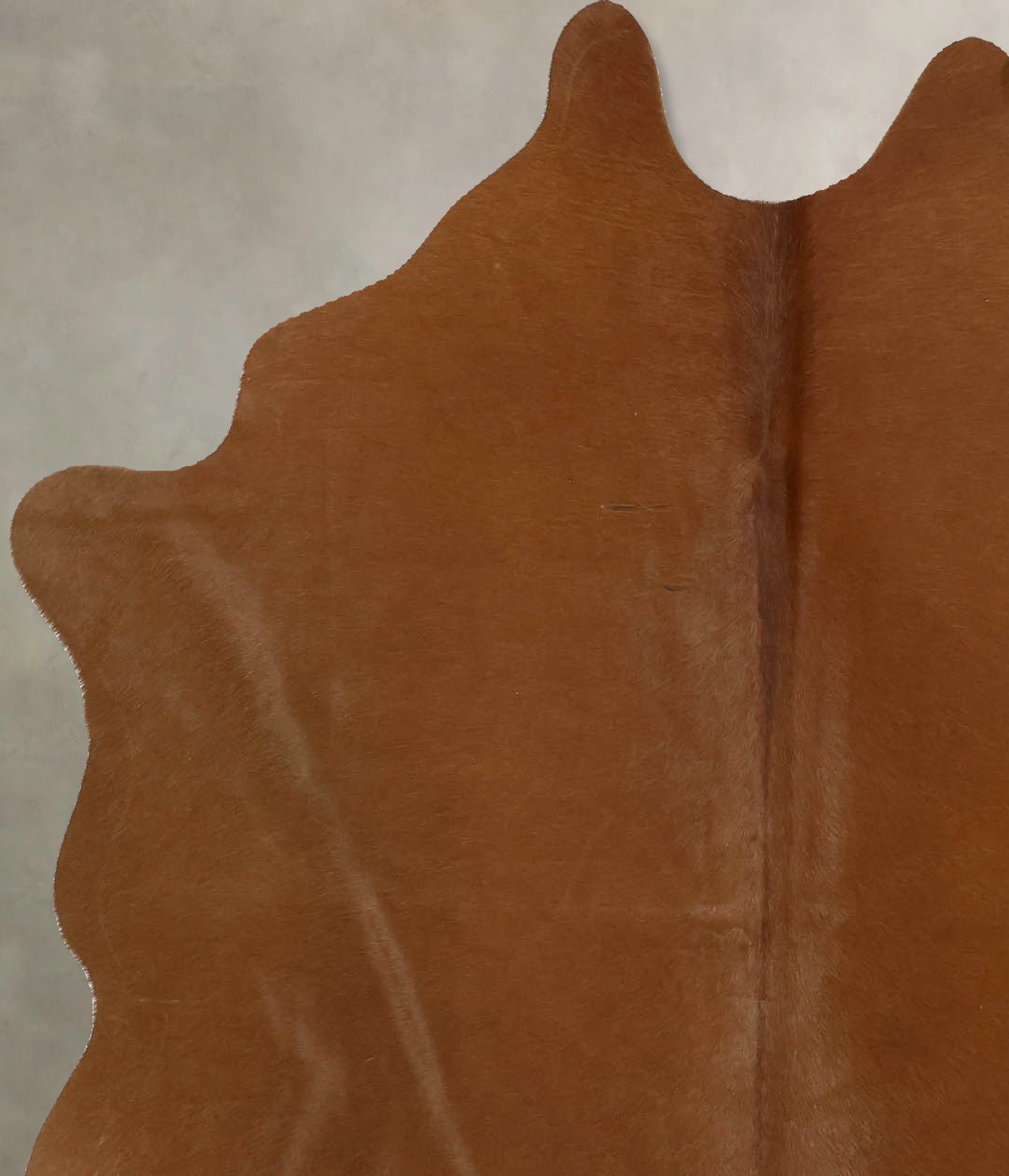 Solid Brown Cowhide Rug #B11624