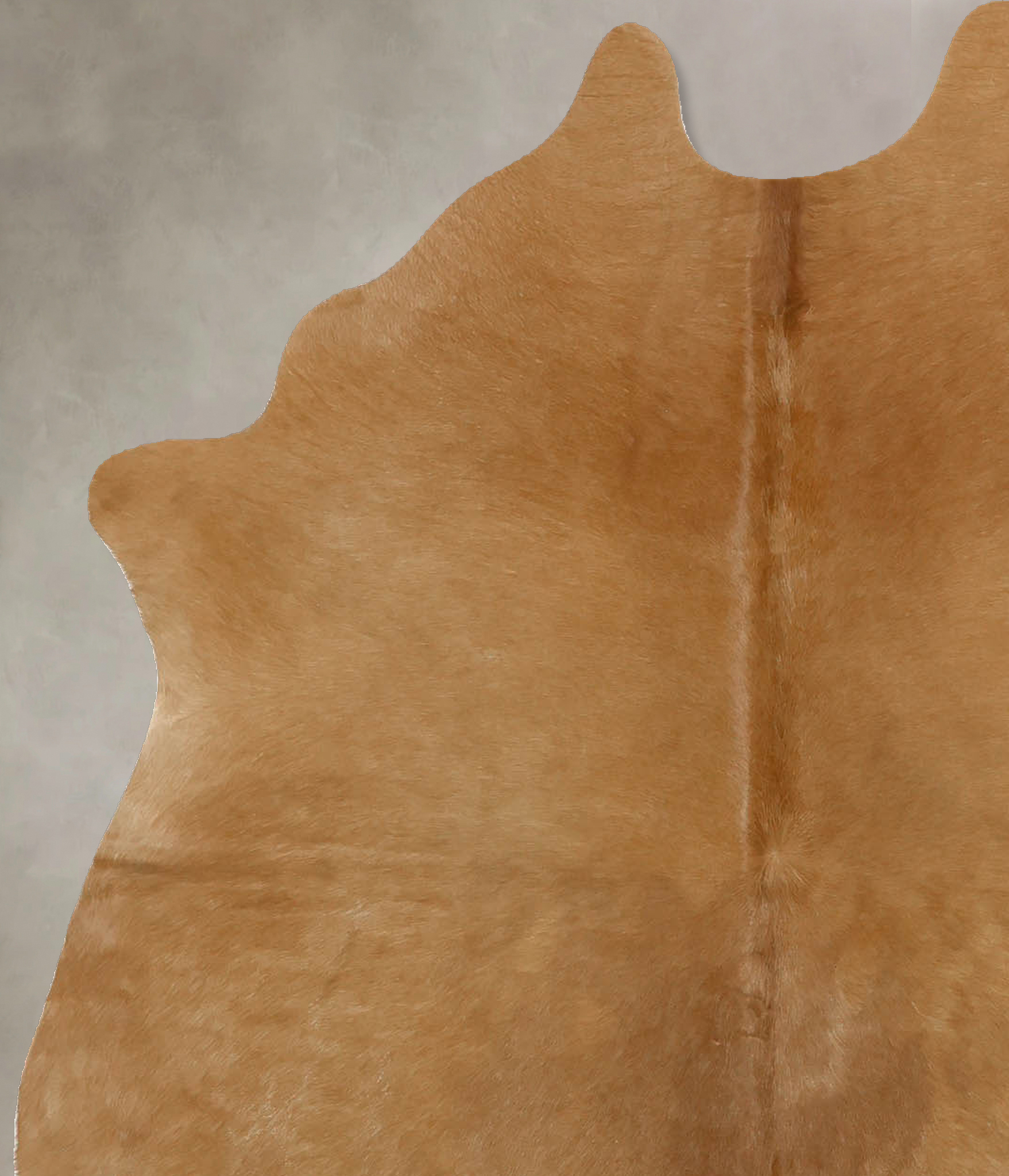 Solid Brown Cowhide Rug #B11636