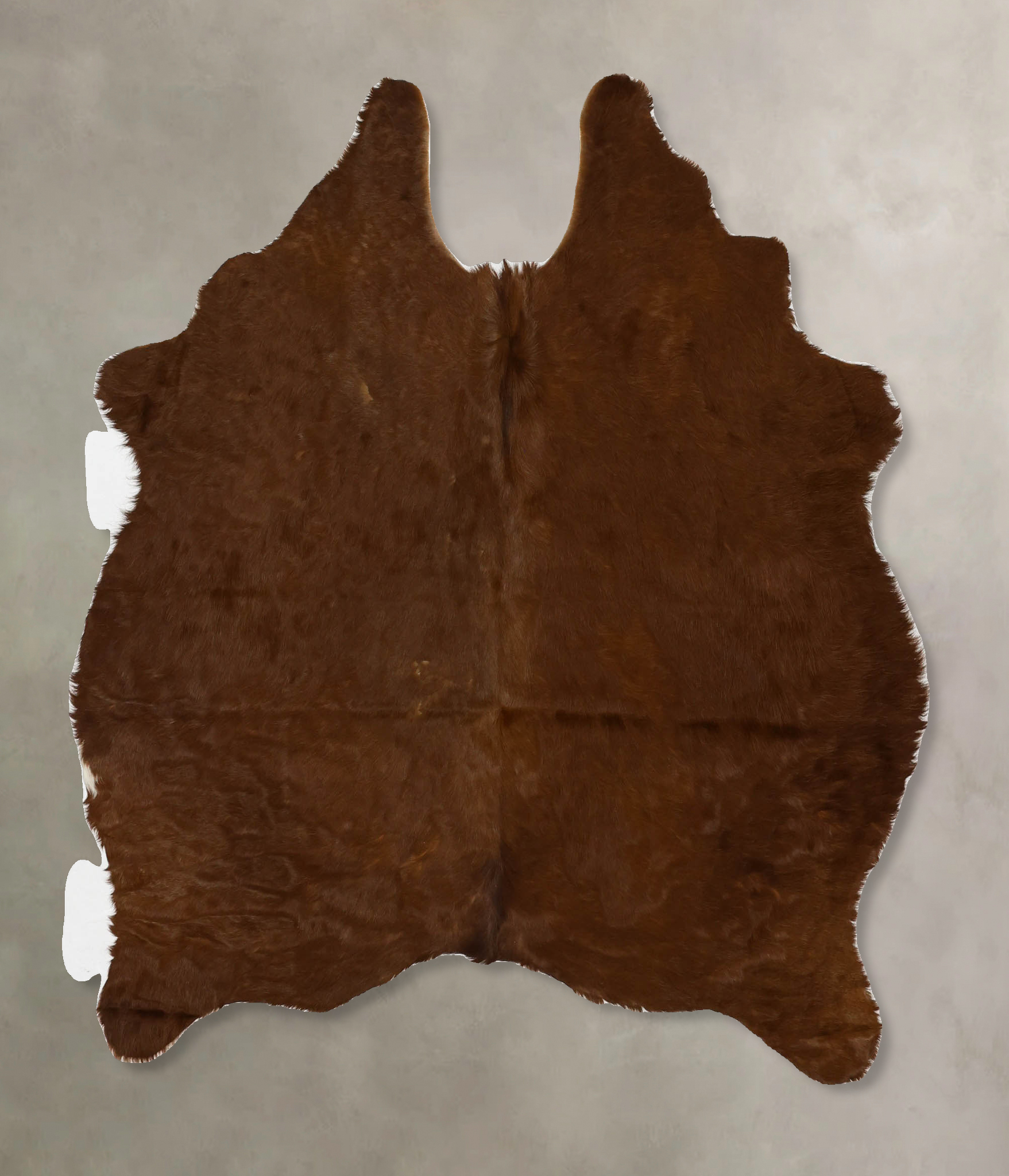 Brown and White Regular Cowhide Rug #B11649