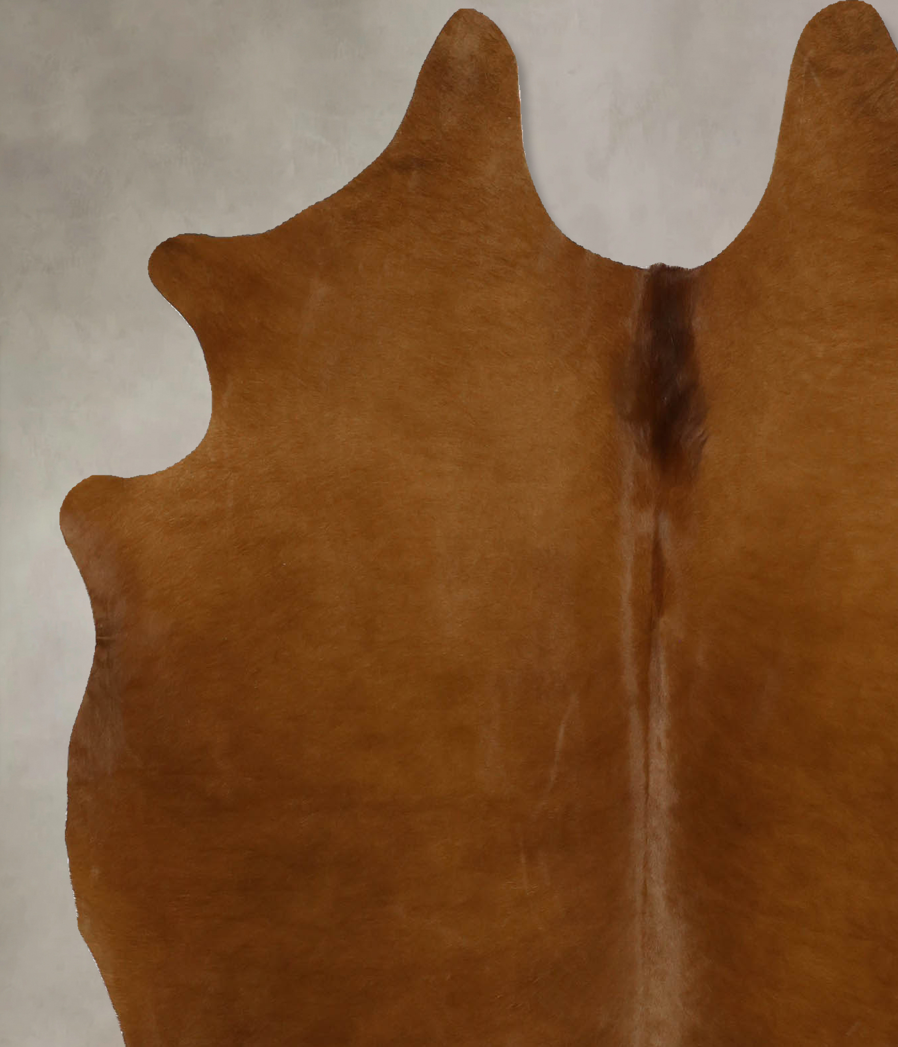 Solid Brown Cowhide Rug #B11654