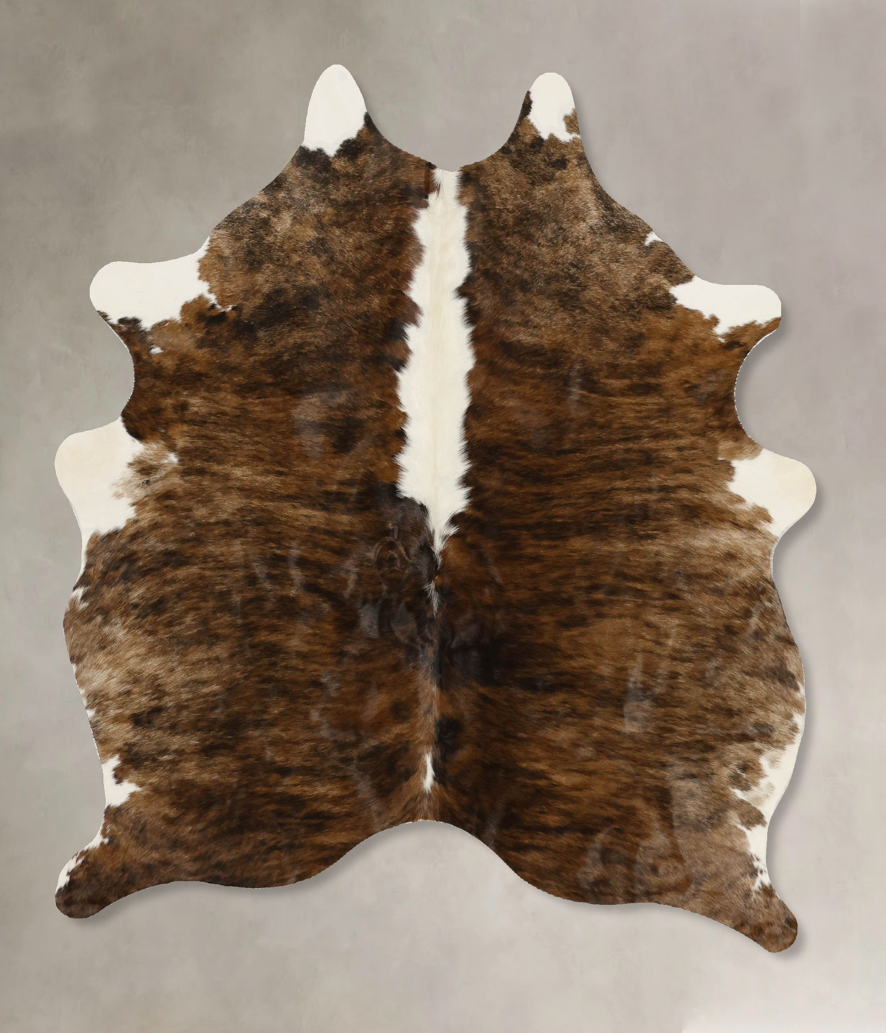 Tricolor Cowhide Rug #B11668