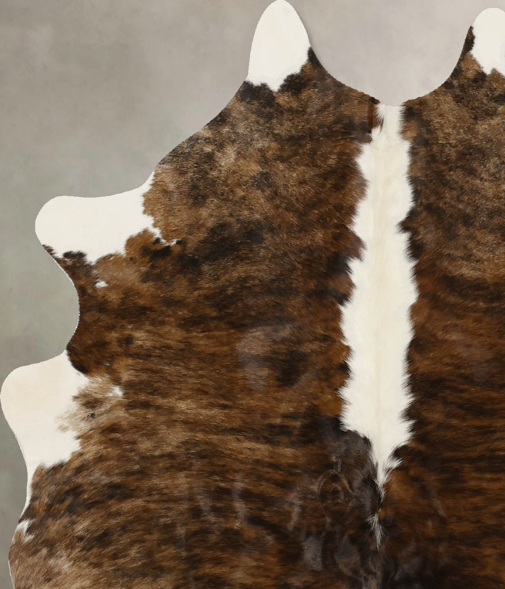 Tricolor Cowhide Rug #B11668