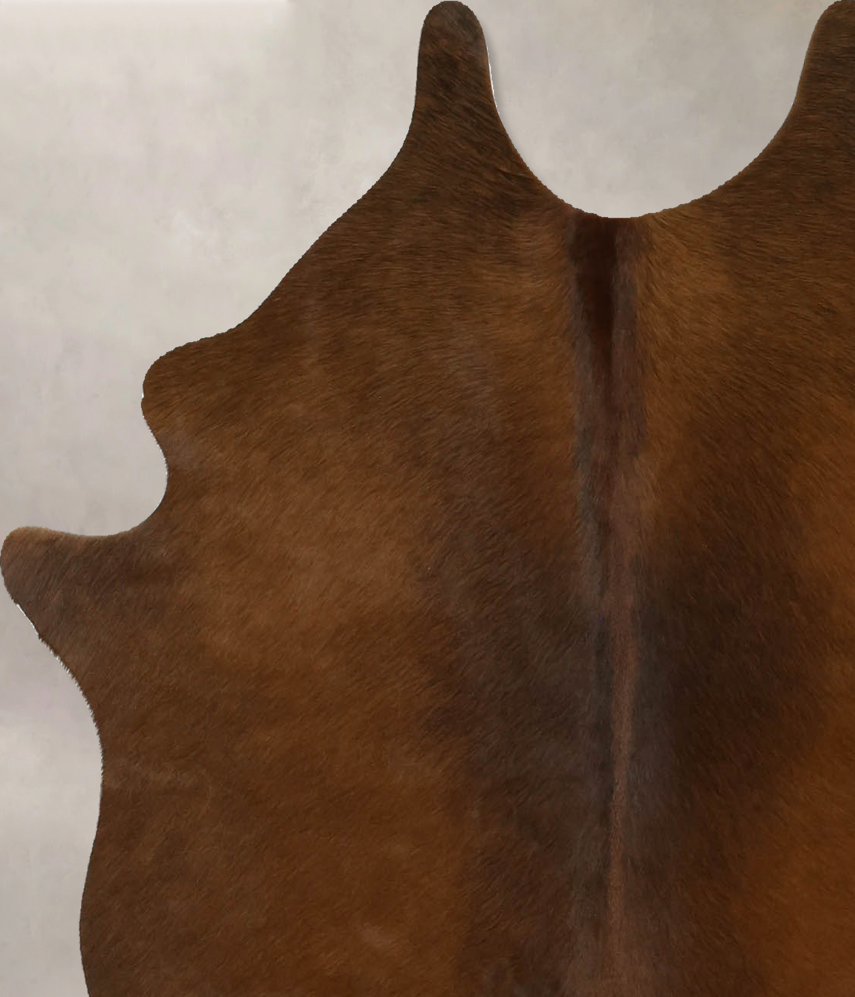 Warm Caramel Cowhide Rug #B11670