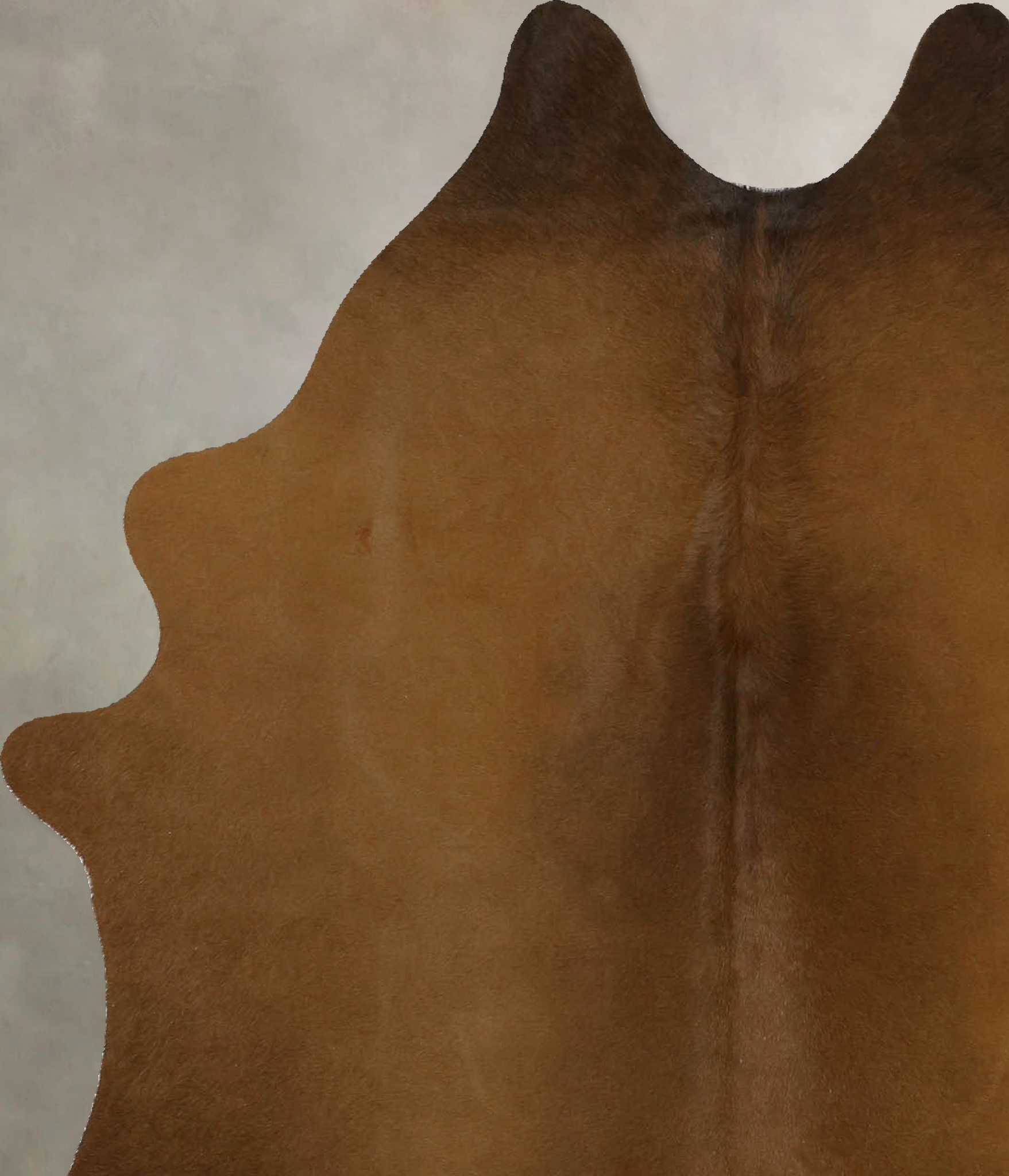 Warm Caramel Cowhide Rug #B11677