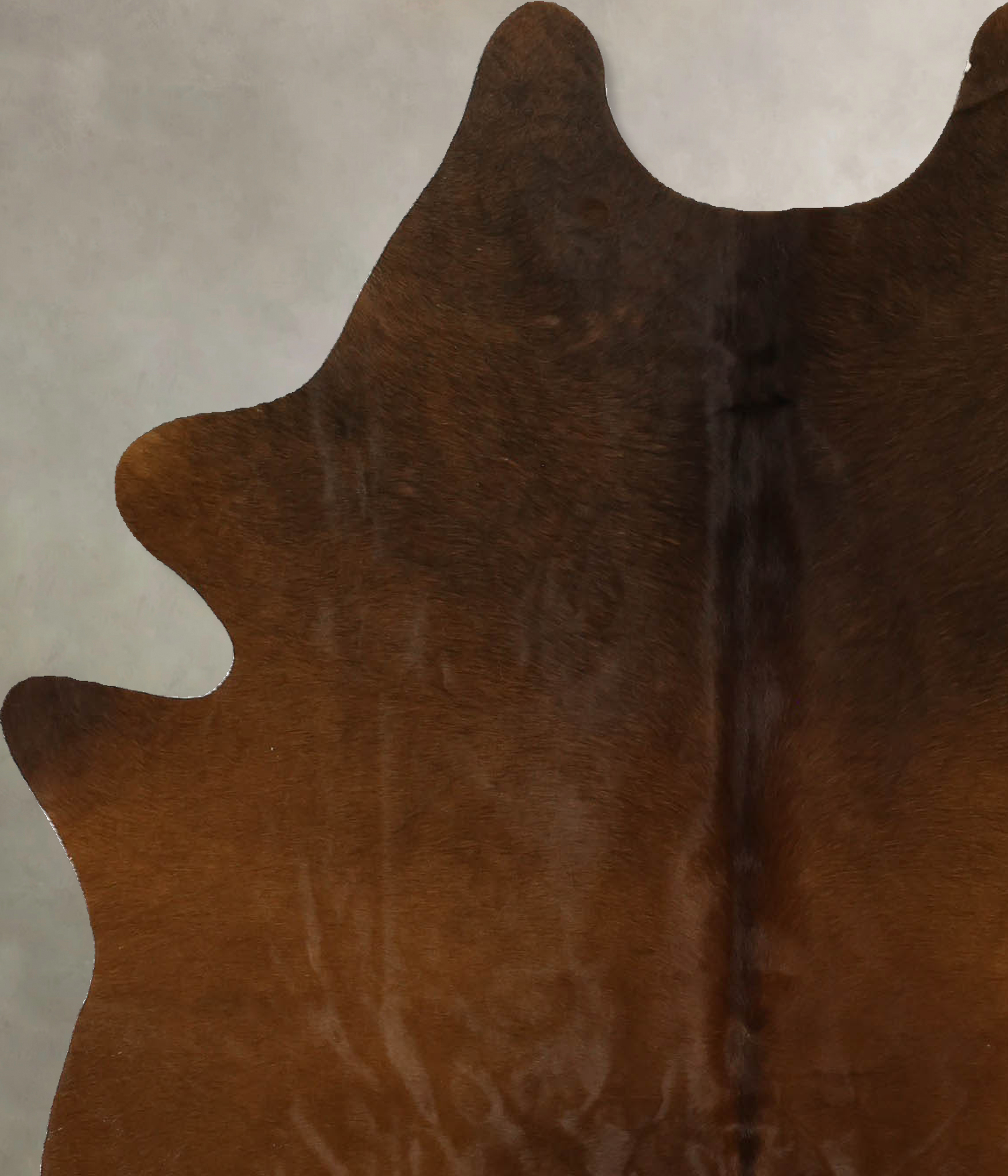 Warm Caramel Cowhide Rug #B11682