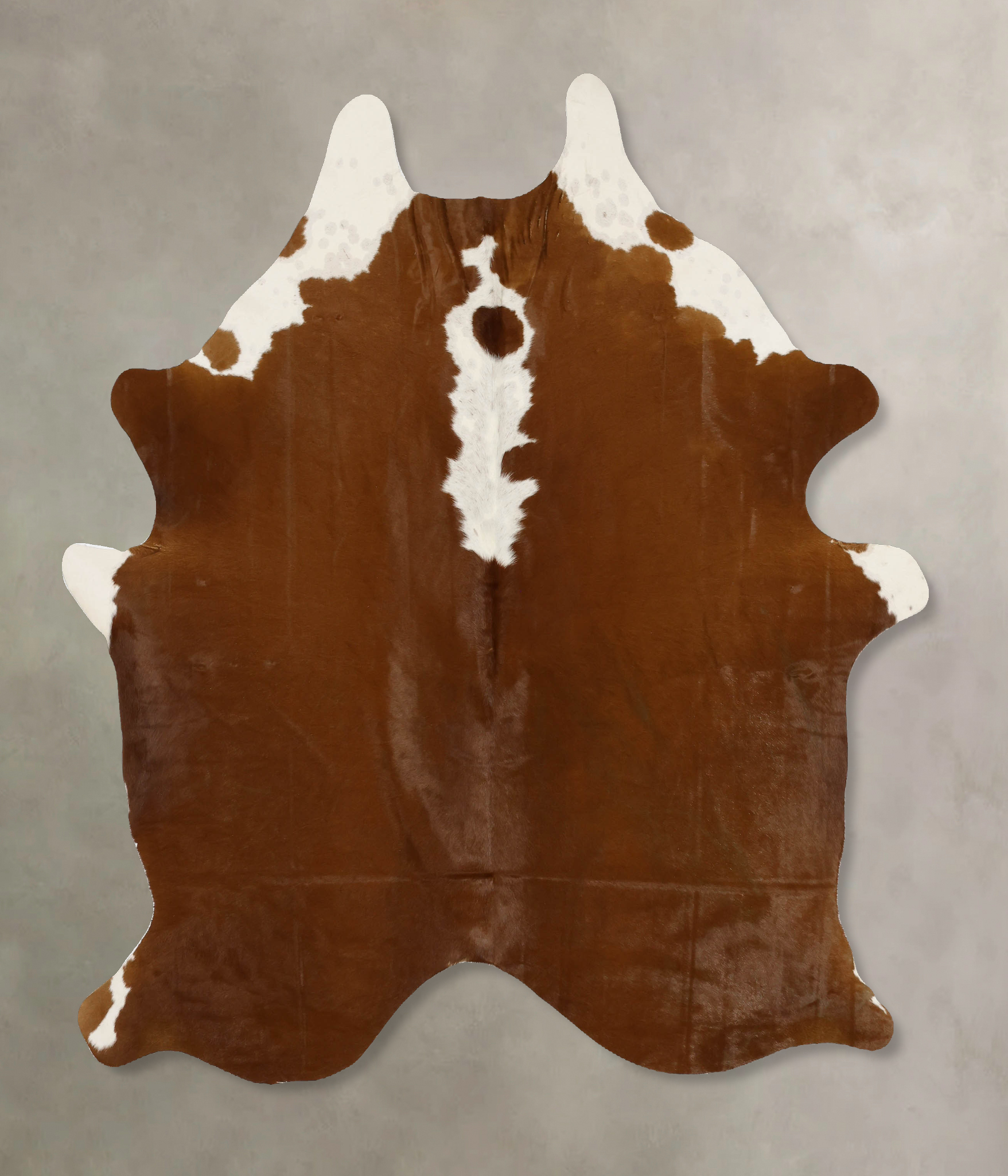 Brown and White Regular Cowhide Rug #B11686